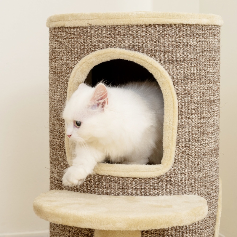 Katzenfass, Kratzbaum mit 2 Ebenen, Sprungplattfor