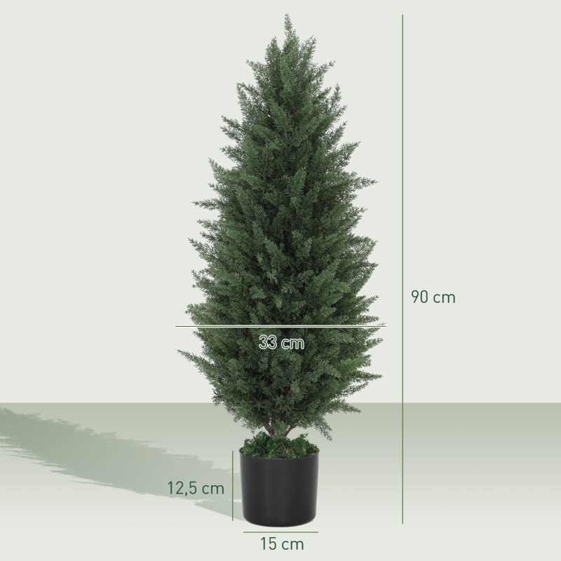 Dimensions du plante décorative