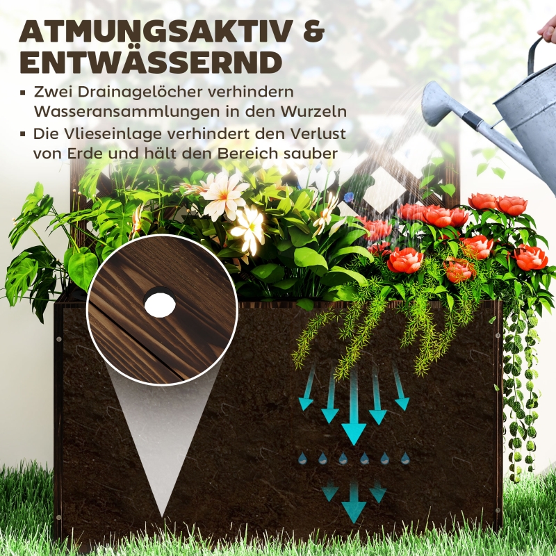 Présentation du bac à plantes
