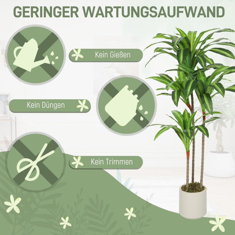 Présentation du plante décorative