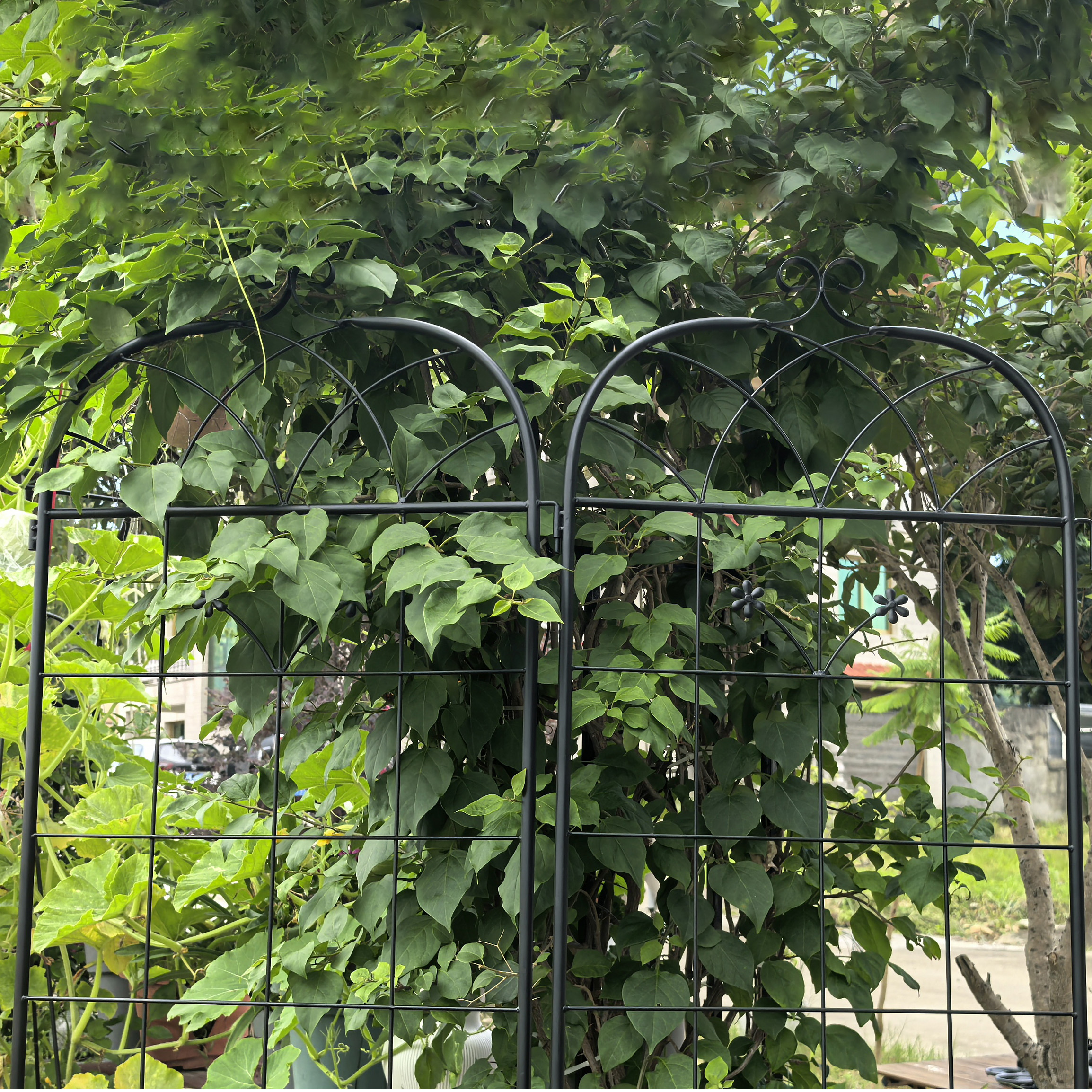 Treillis de jardin pour plantes grimpantes vue générale