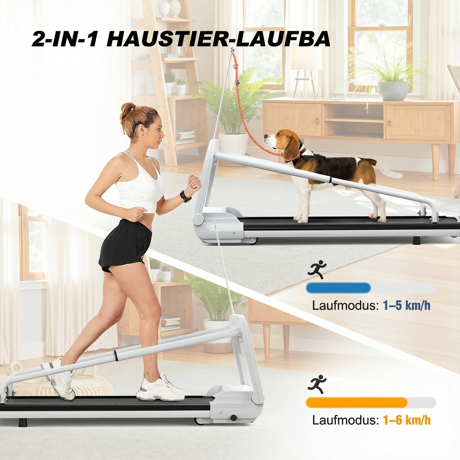 Présentation du tapis de course