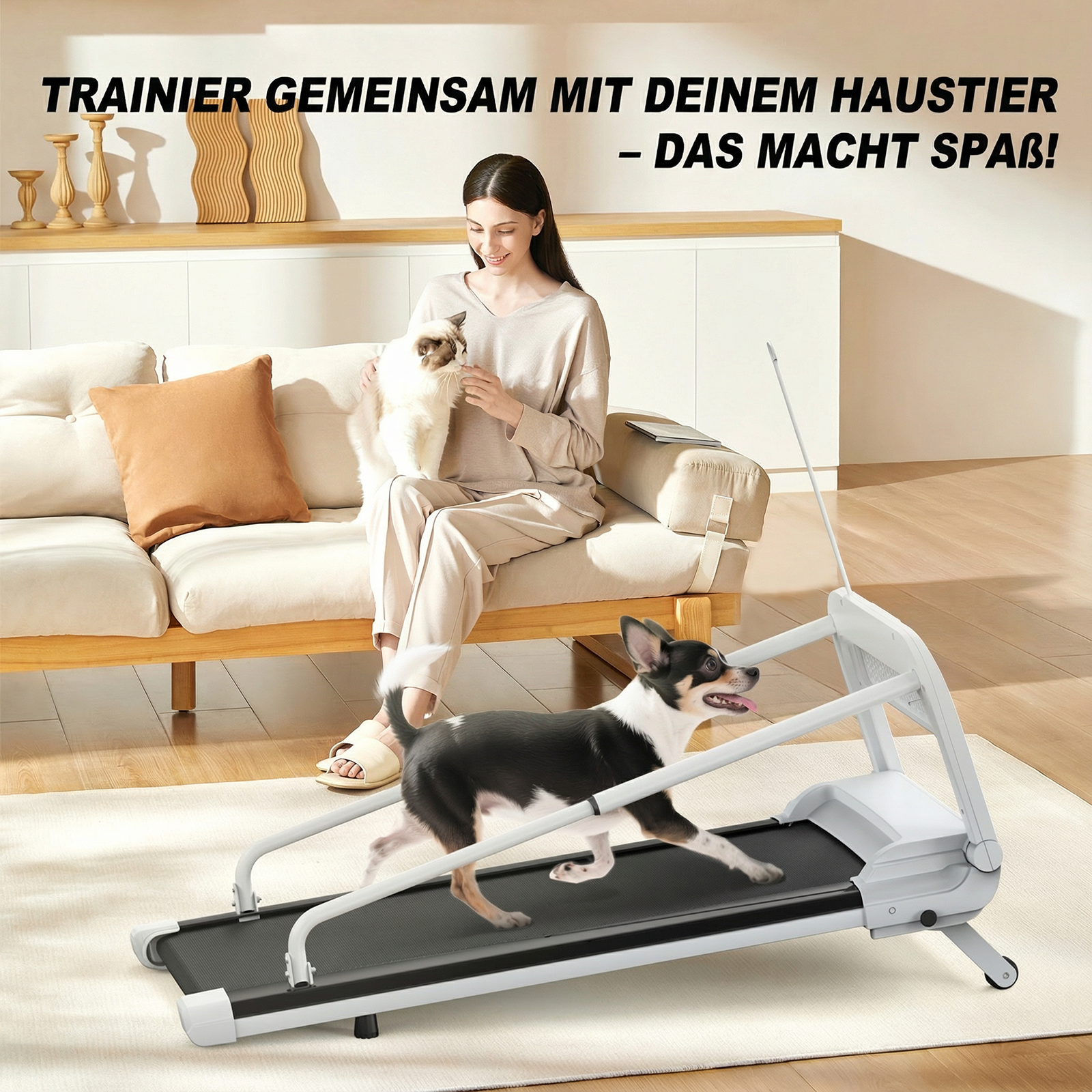 Présentation du tapis de course