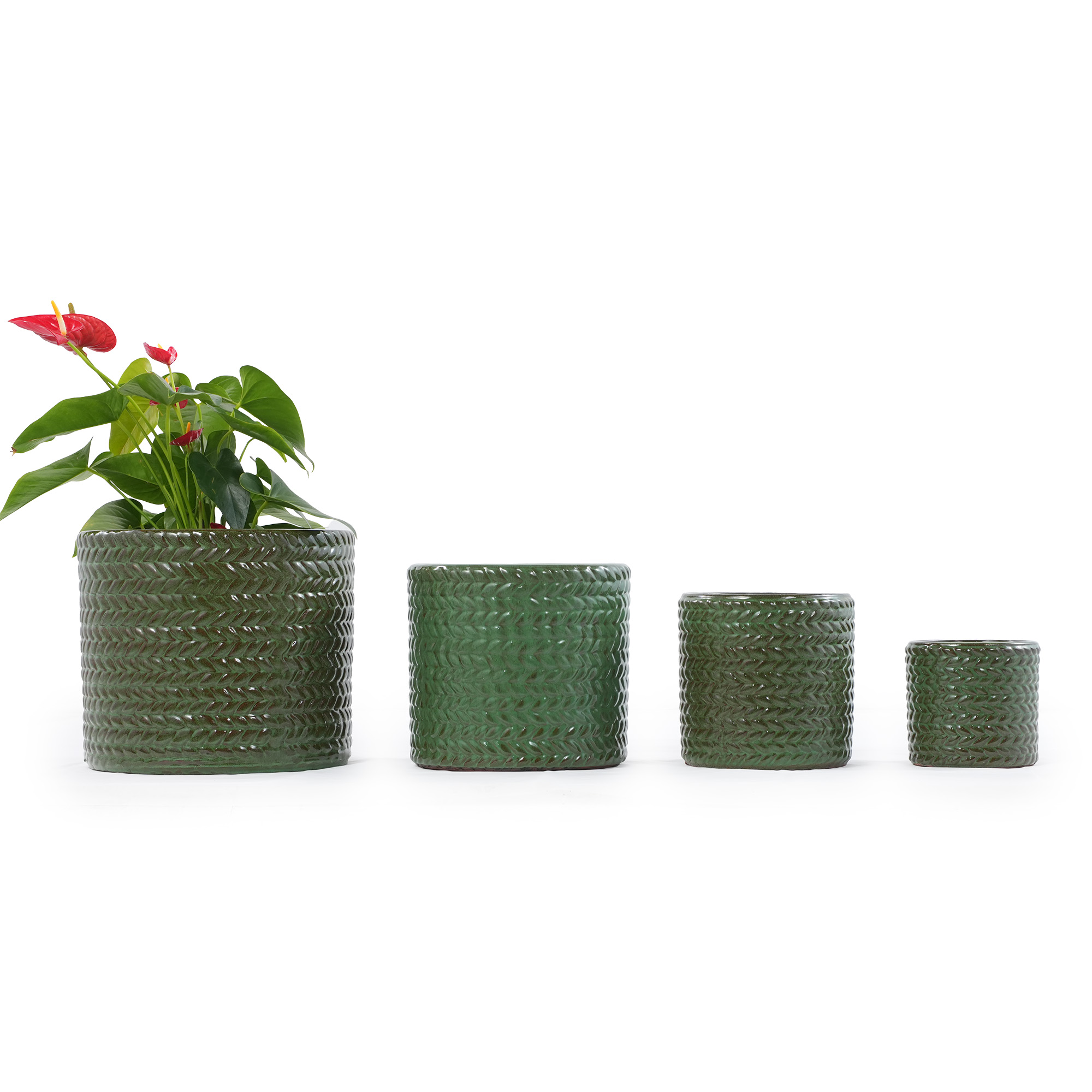 Vue principale du bac à plantes