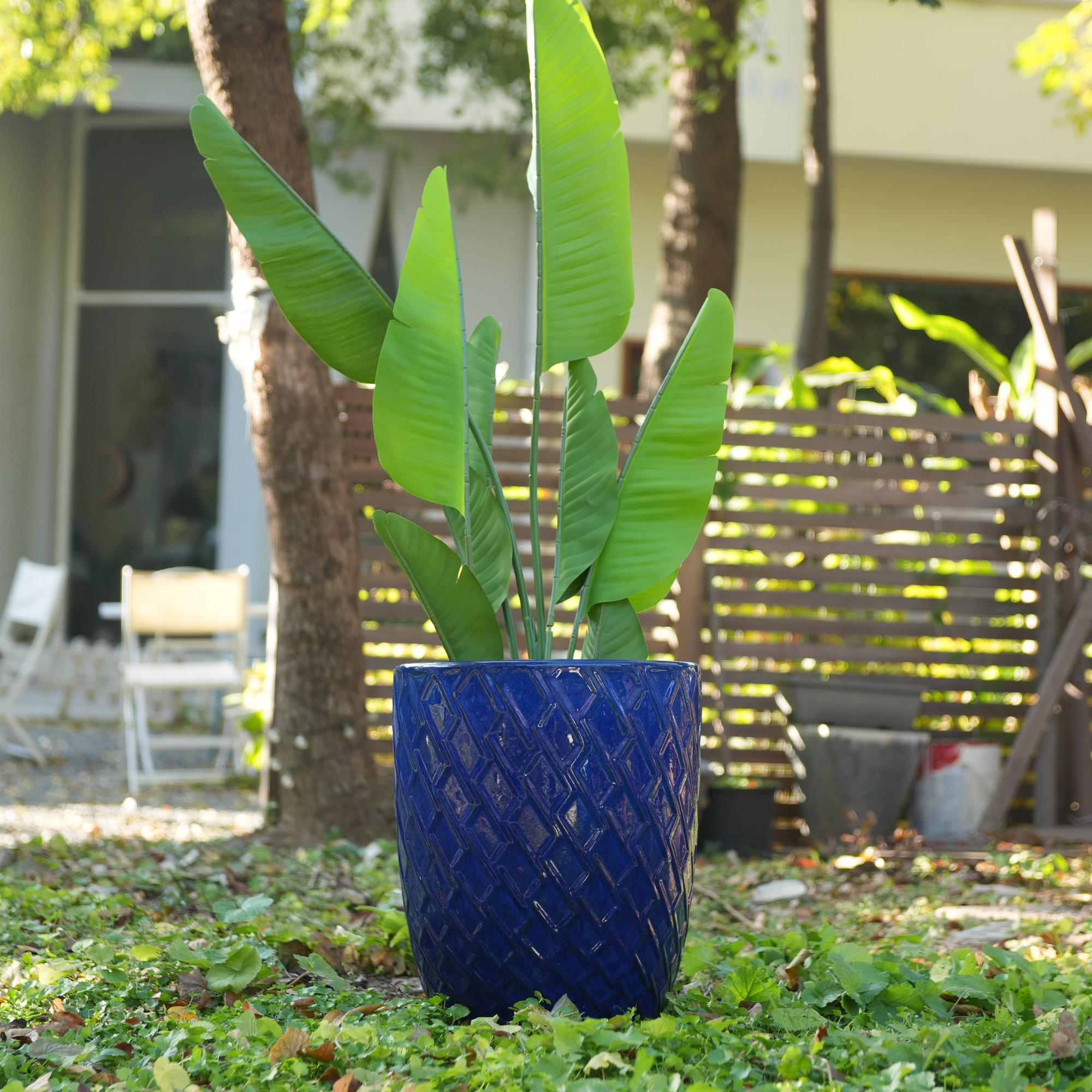 Présentation du bac à plantes