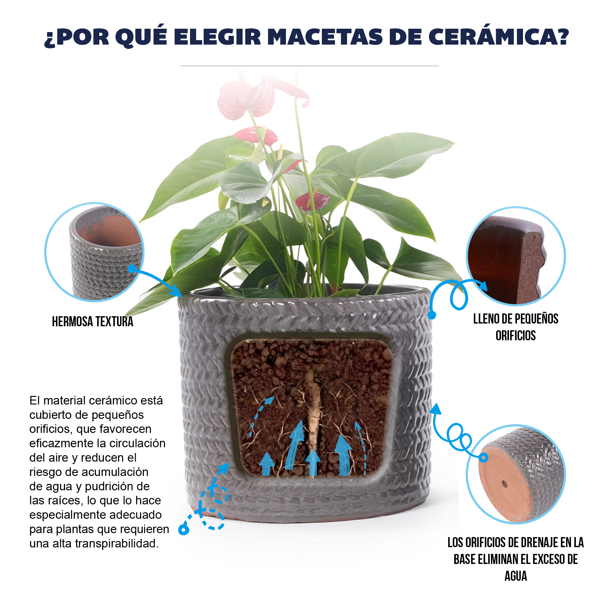 Présentation du bac à plantes