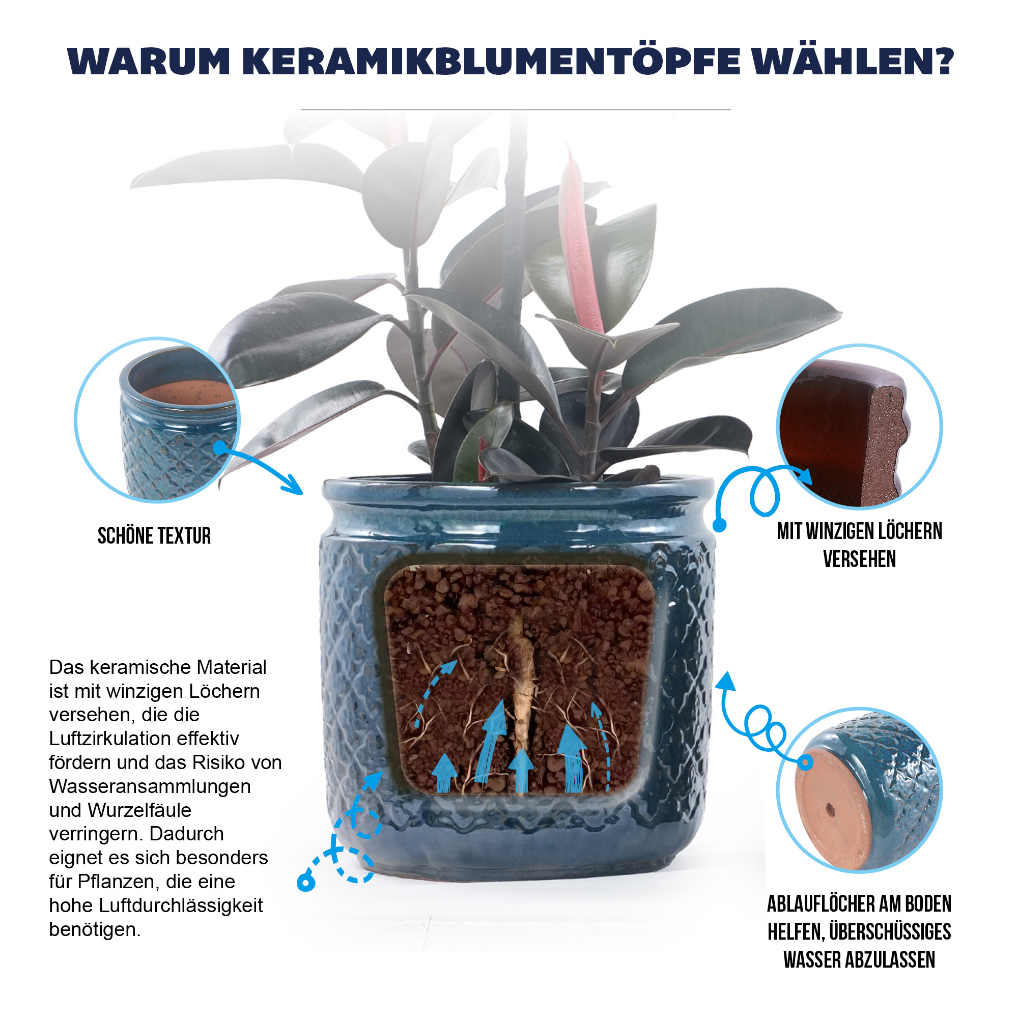Détail du bac à plantes