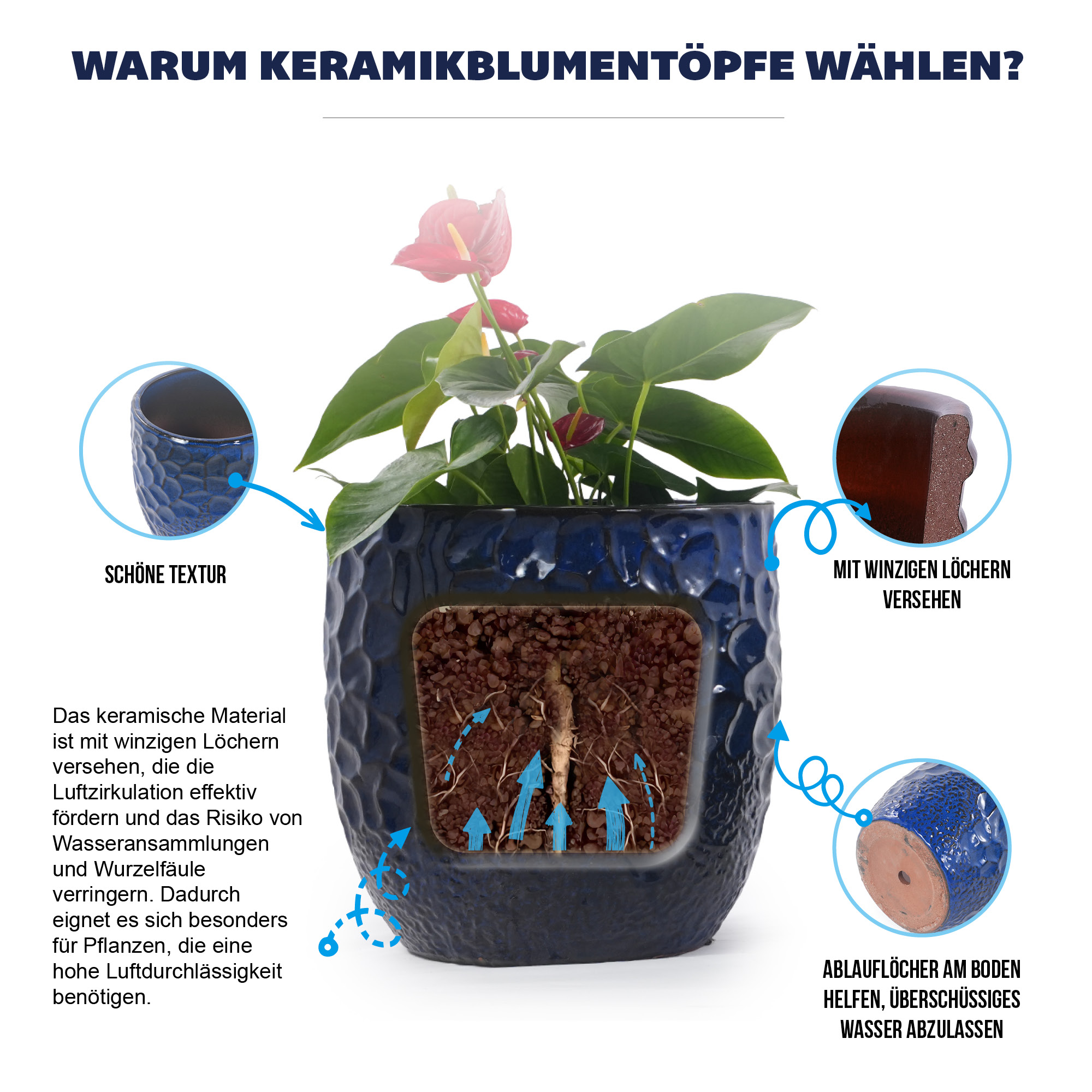 Détail du bac à plantes