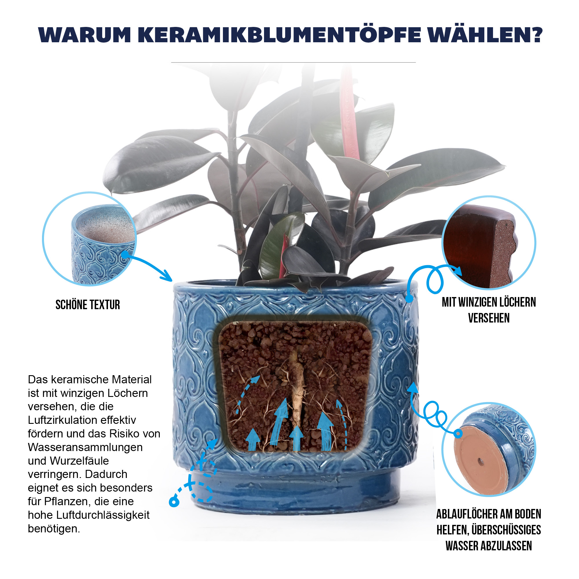 Présentation du bac à plantes