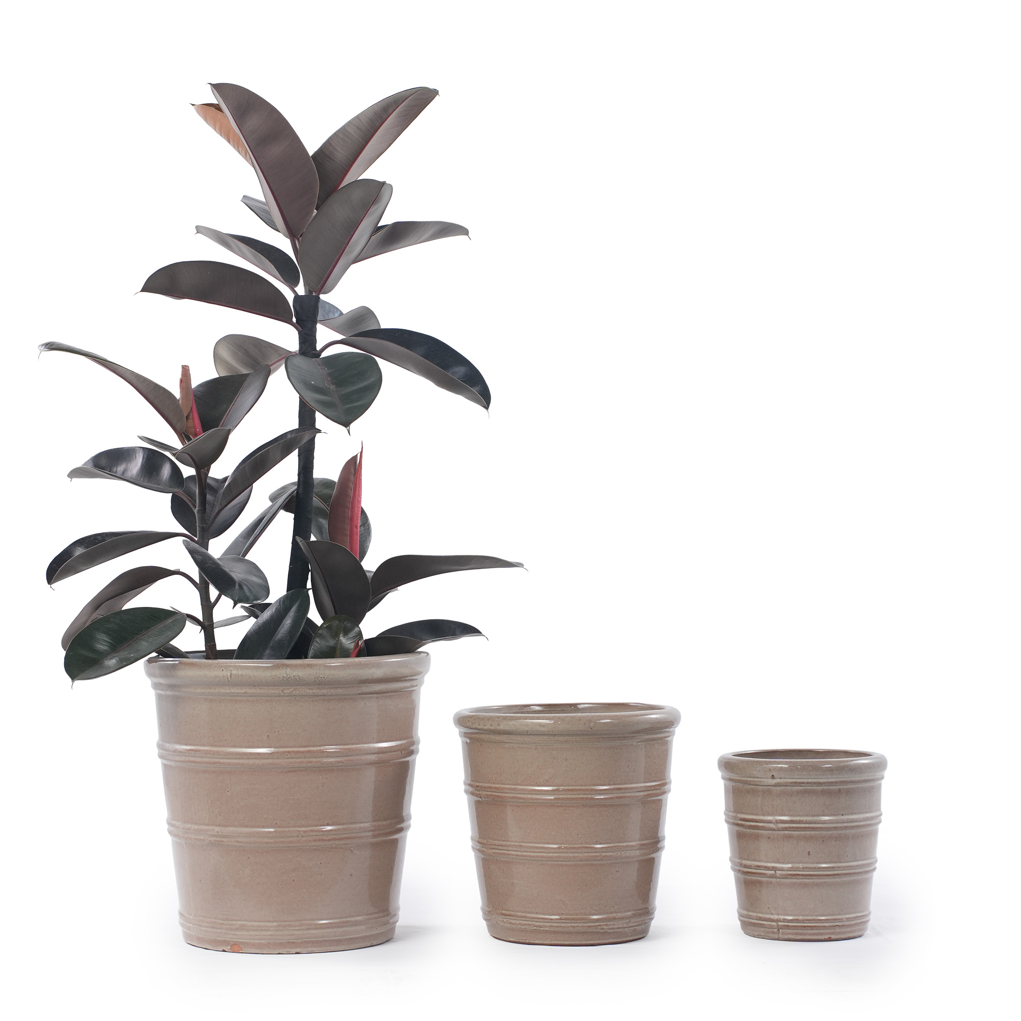 Détail du bac à plantes