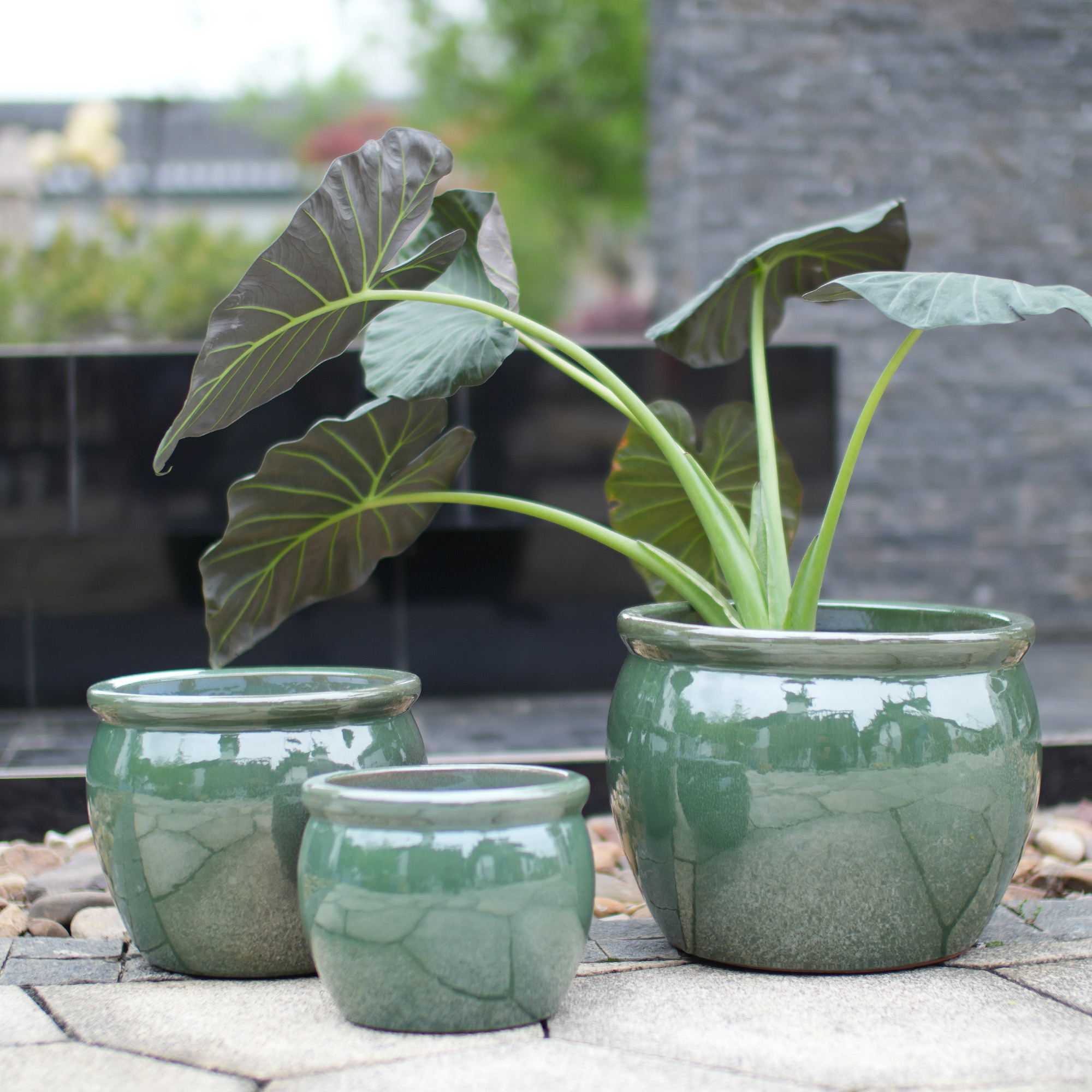 Détail du bac à plantes