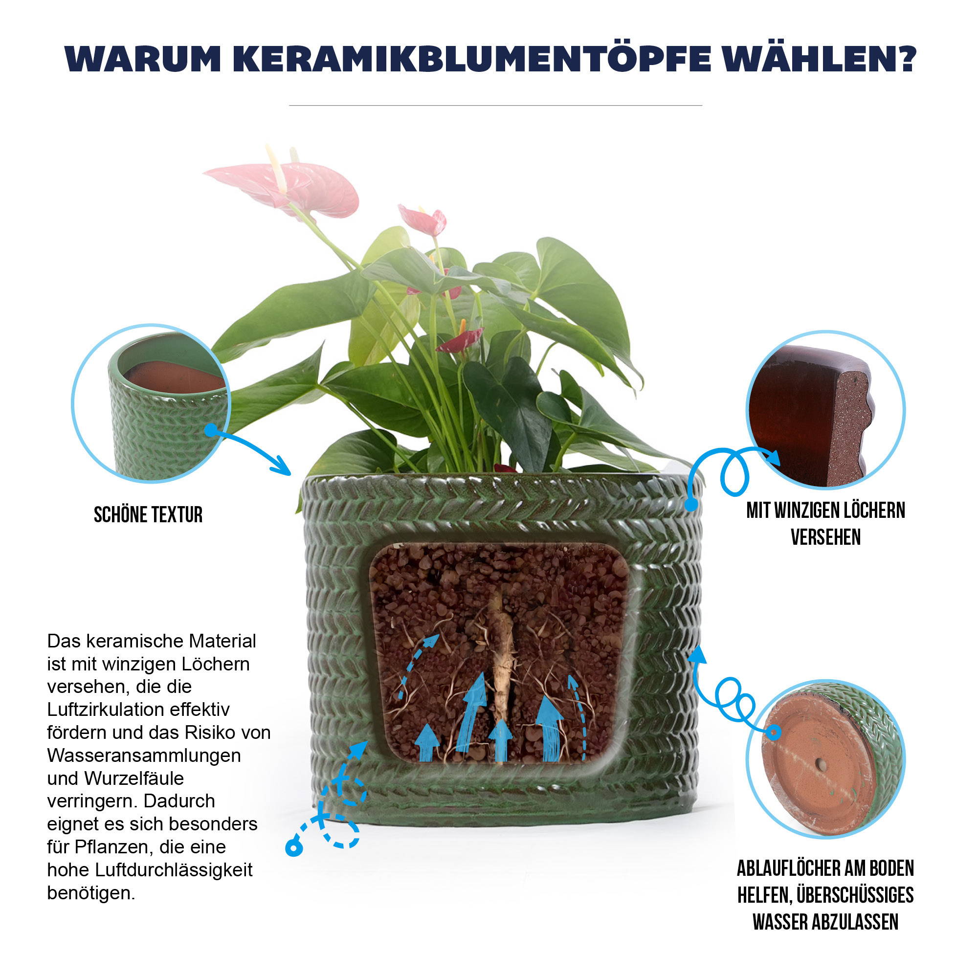 Présentation du bac à plantes