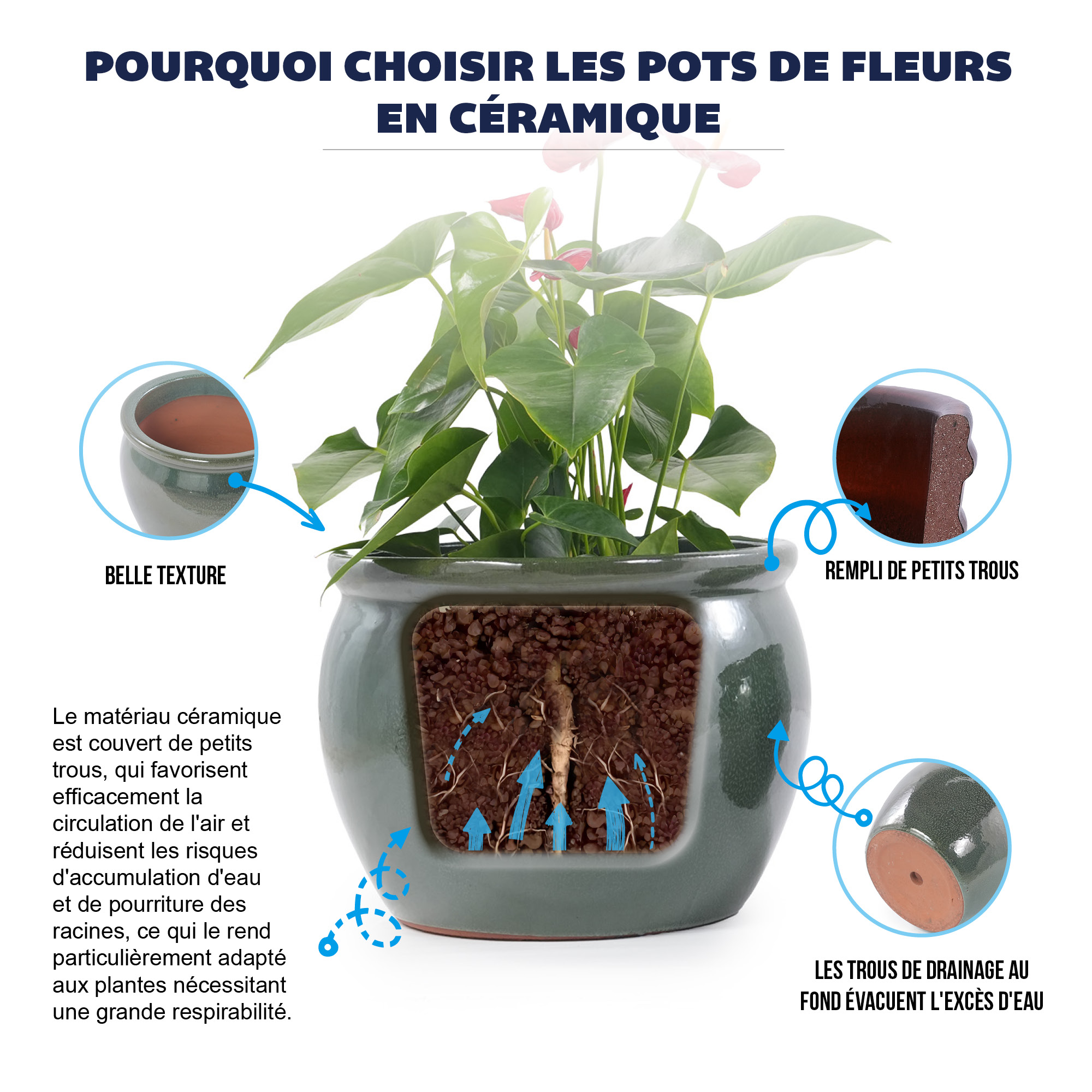 Présentation du bac à plantes