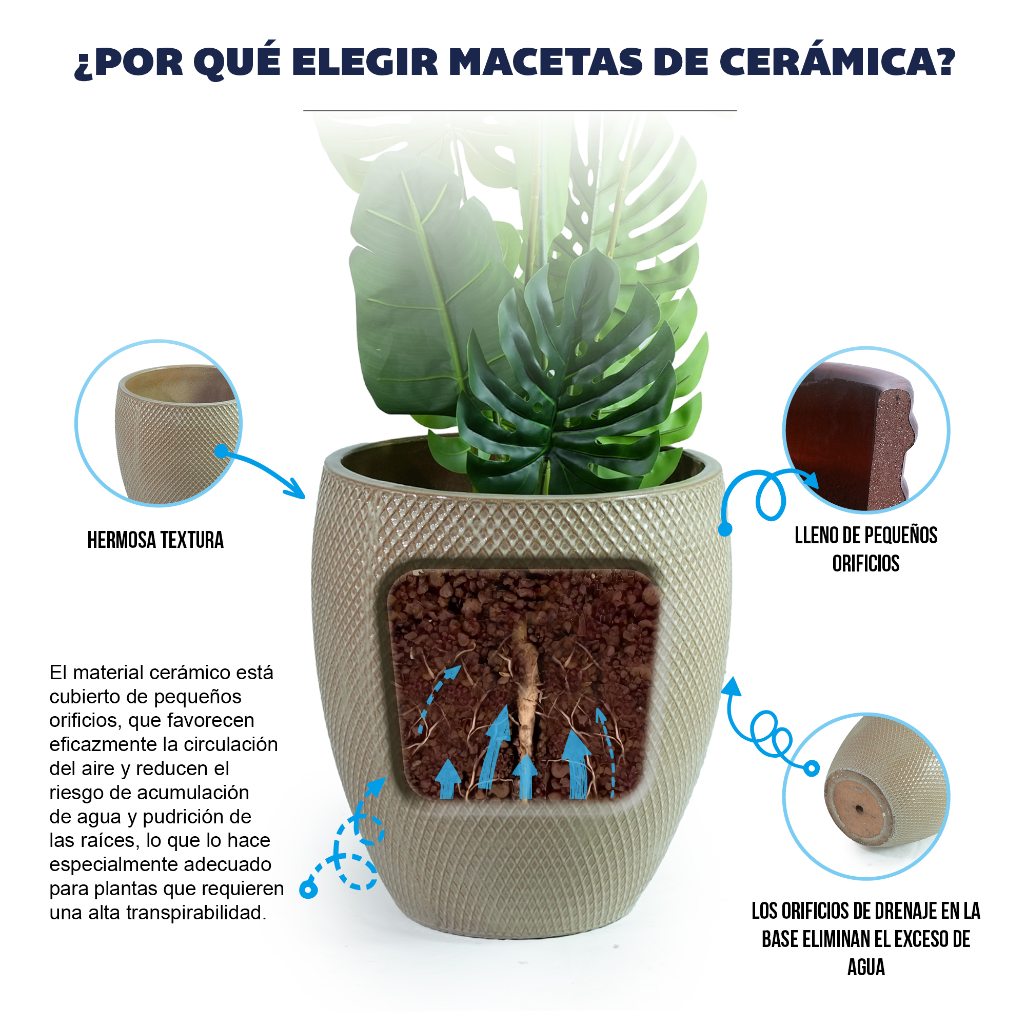 Présentation du bac à plantes