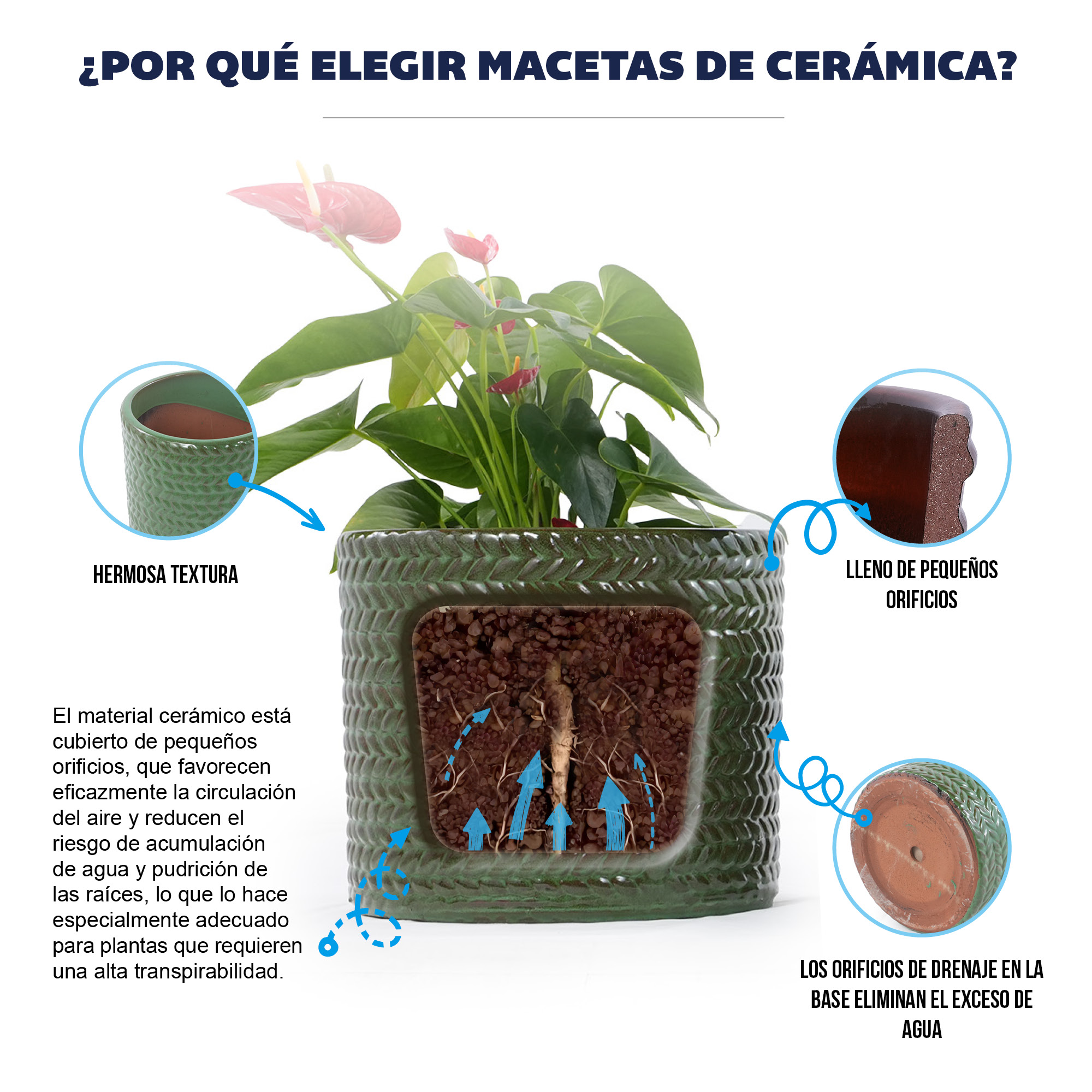Présentation du bac à plantes