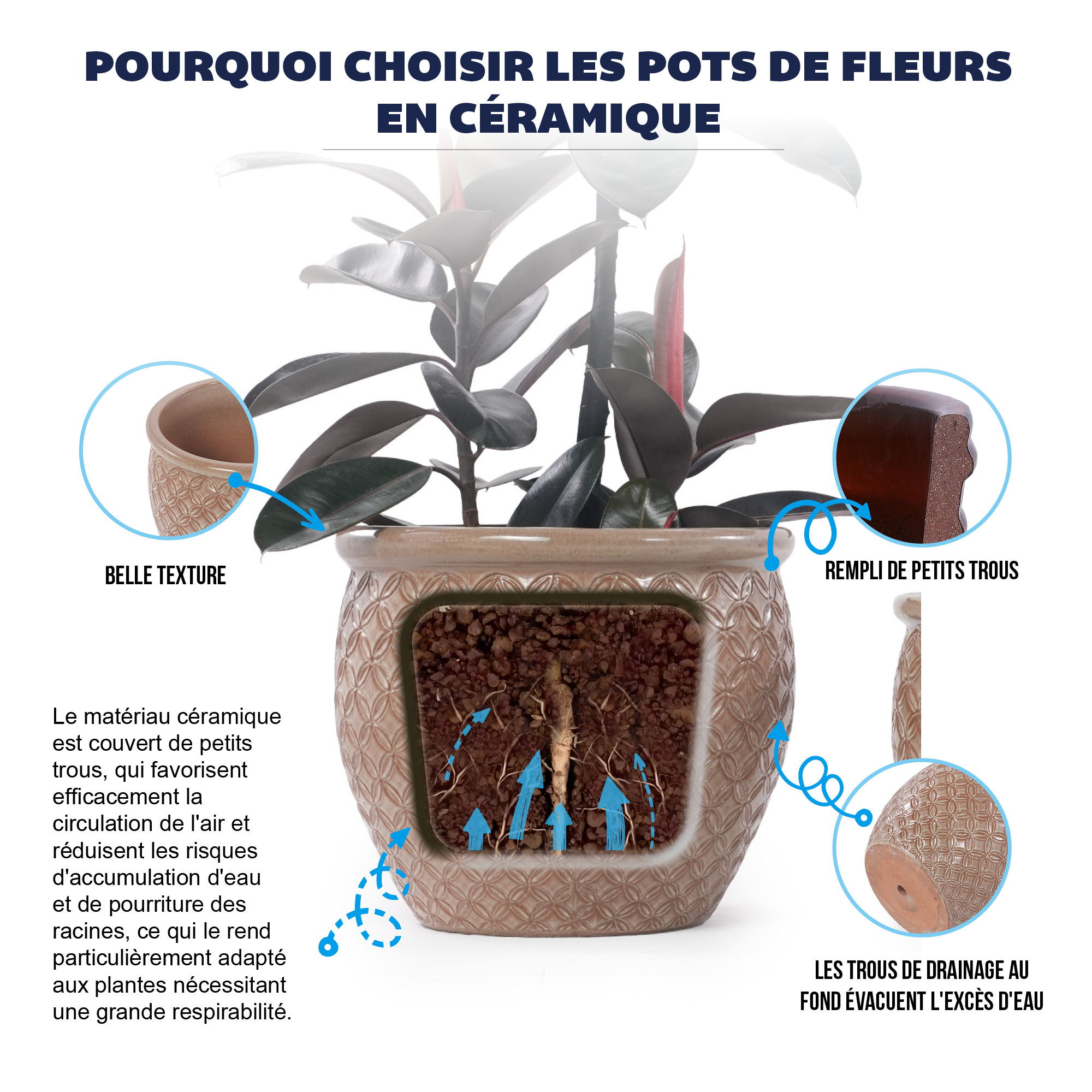 Présentation du bac à plantes
