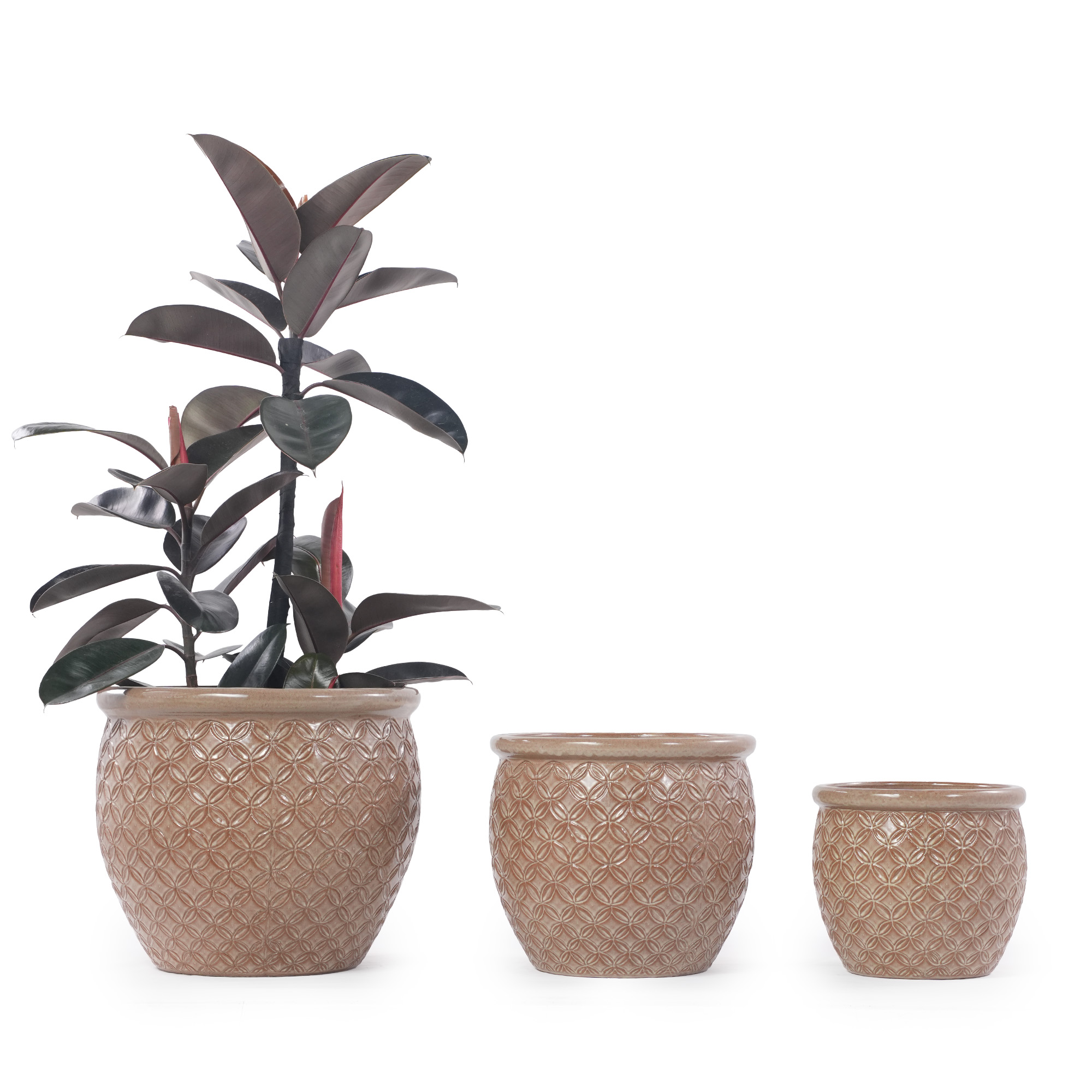 Présentation du bac à plantes