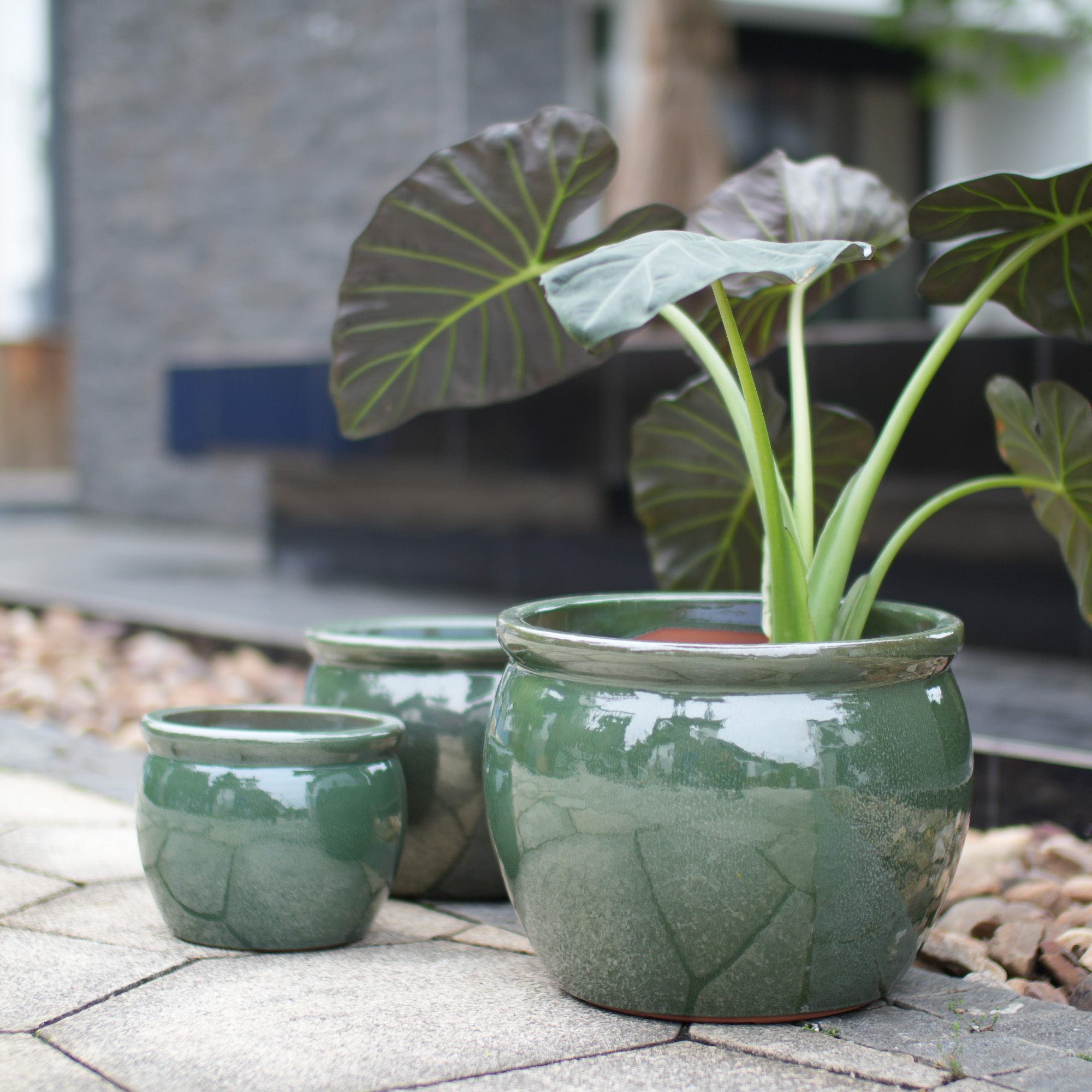 Détail du bac à plantes