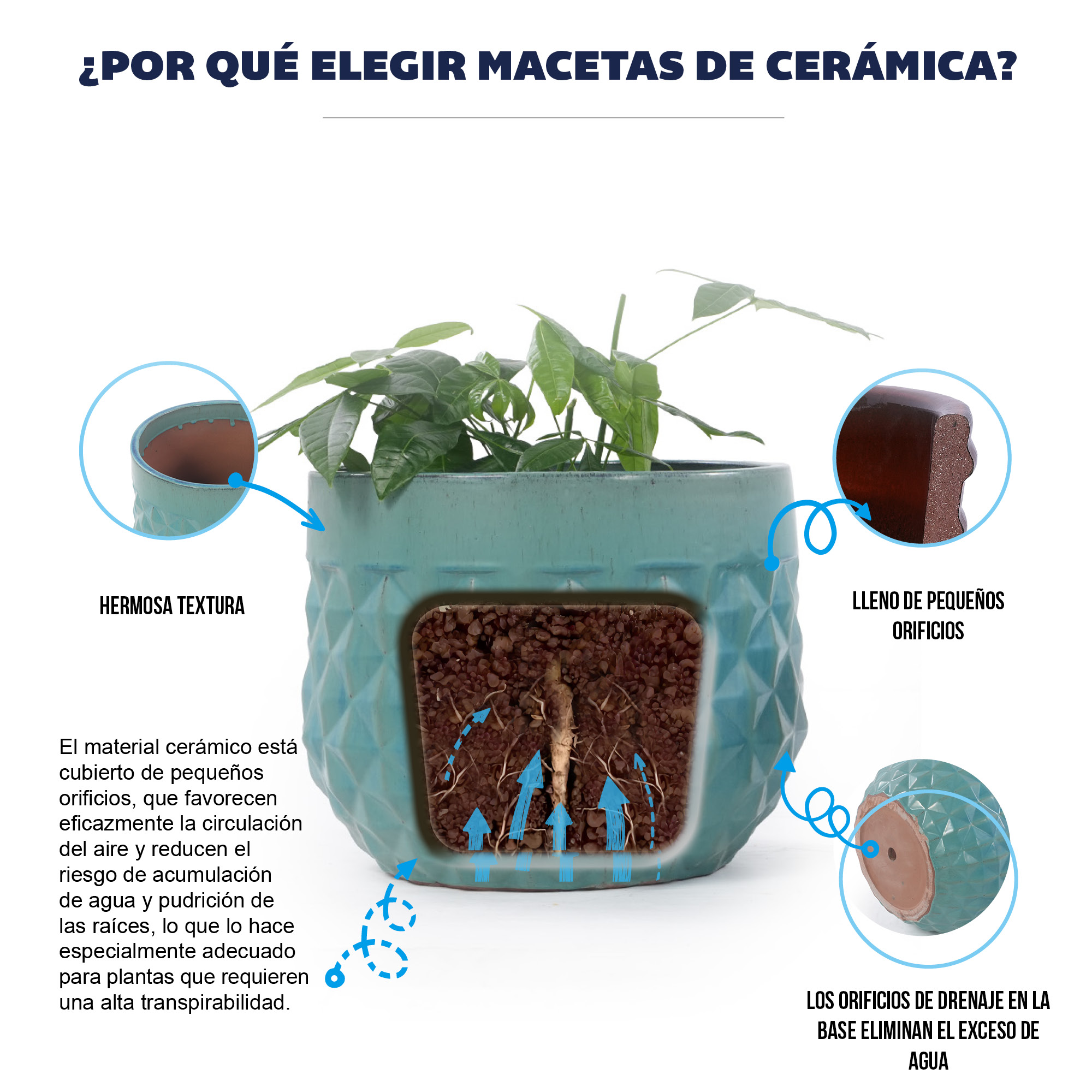 Présentation du bac à plantes