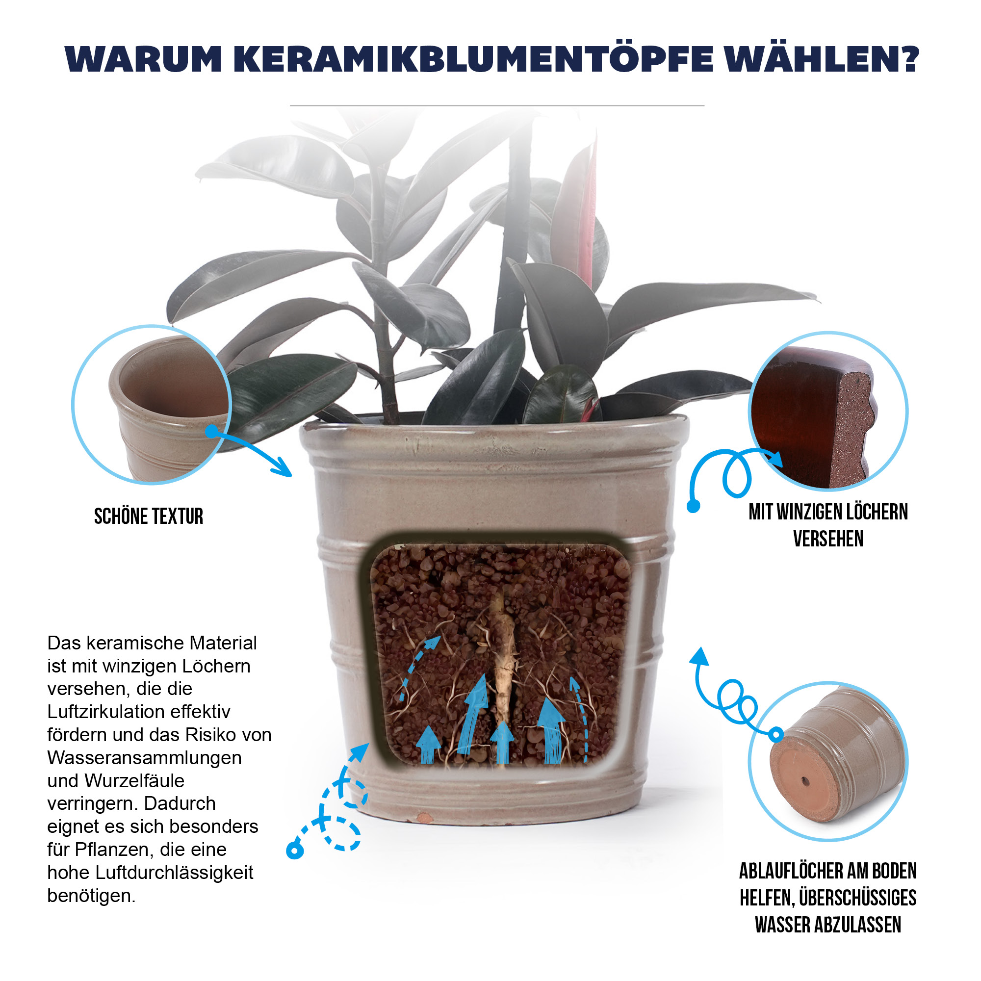 Présentation du bac à plantes