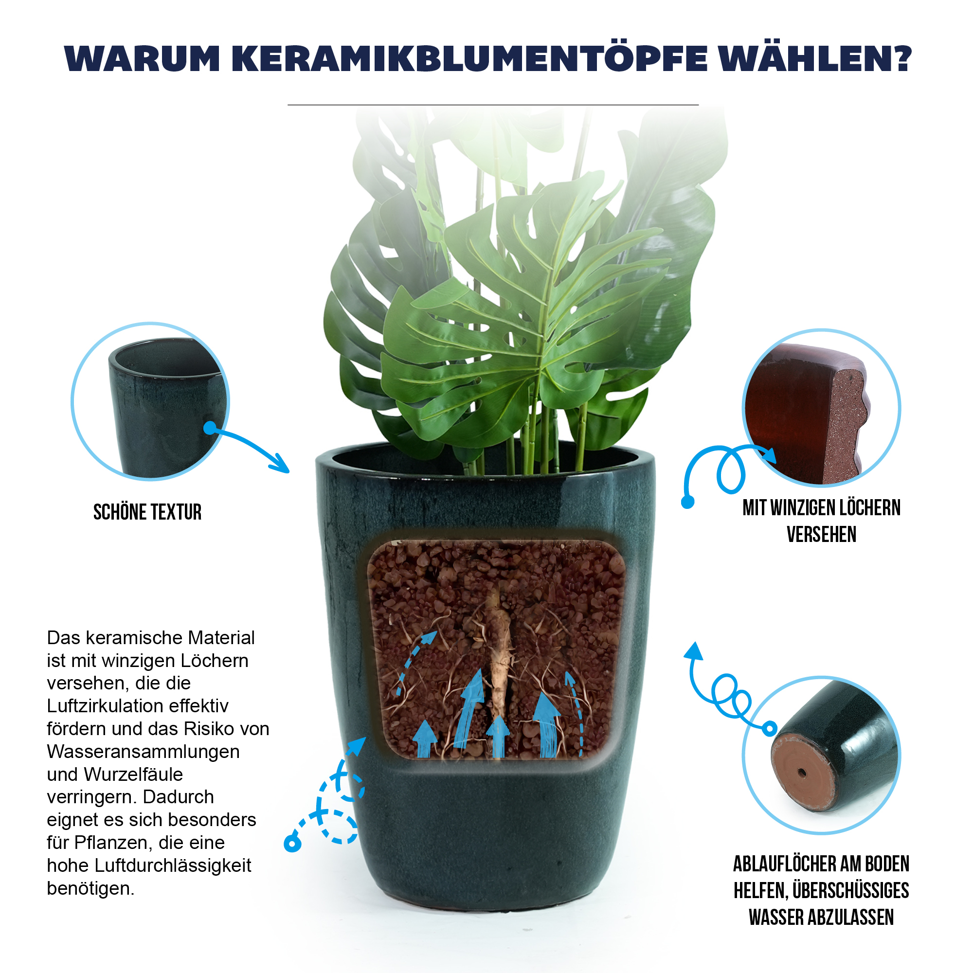Présentation du bac à plantes