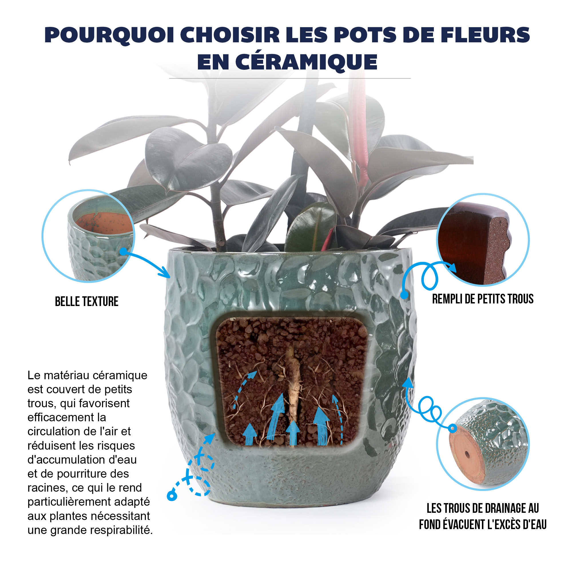 Présentation du bureau