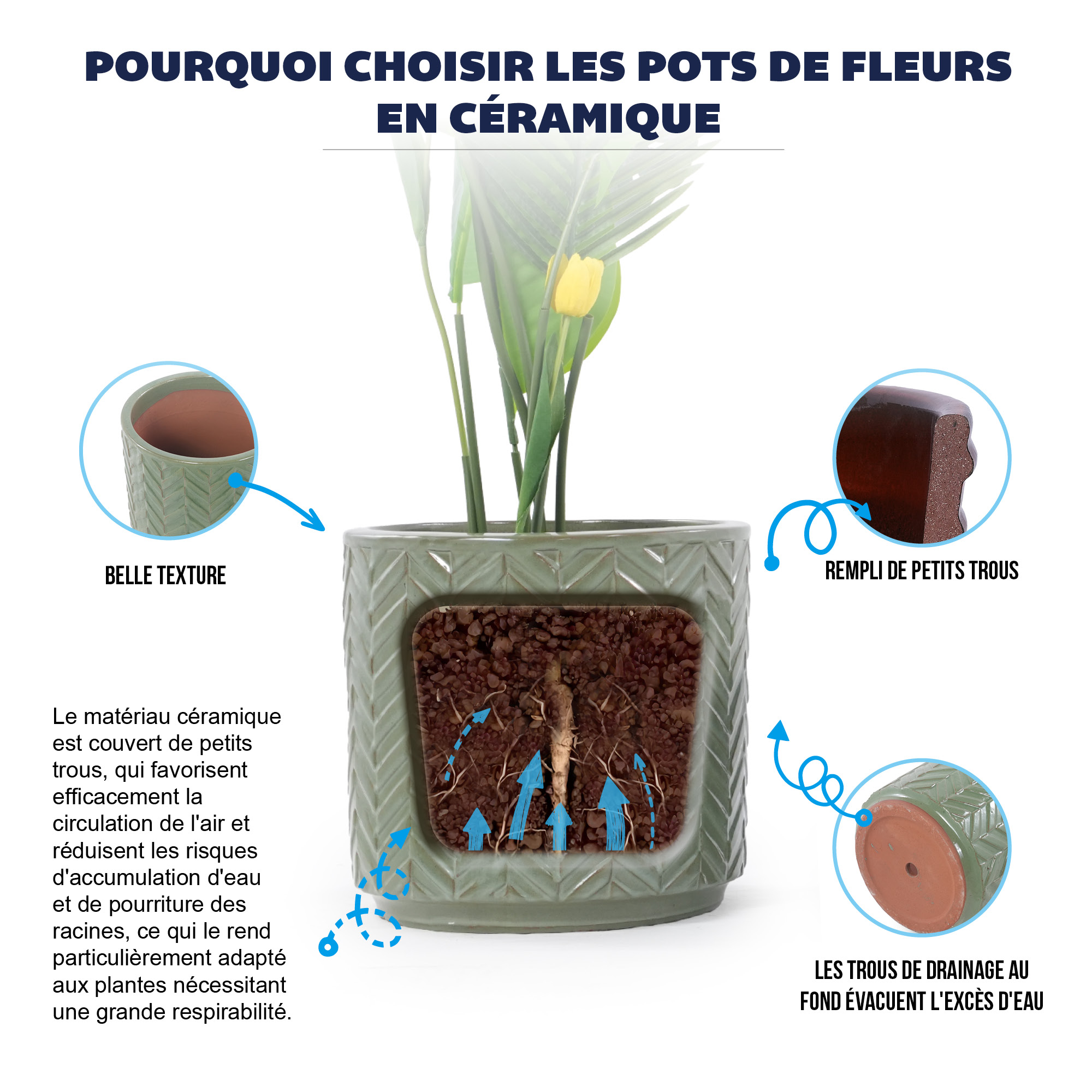 Présentation du bac à plantes