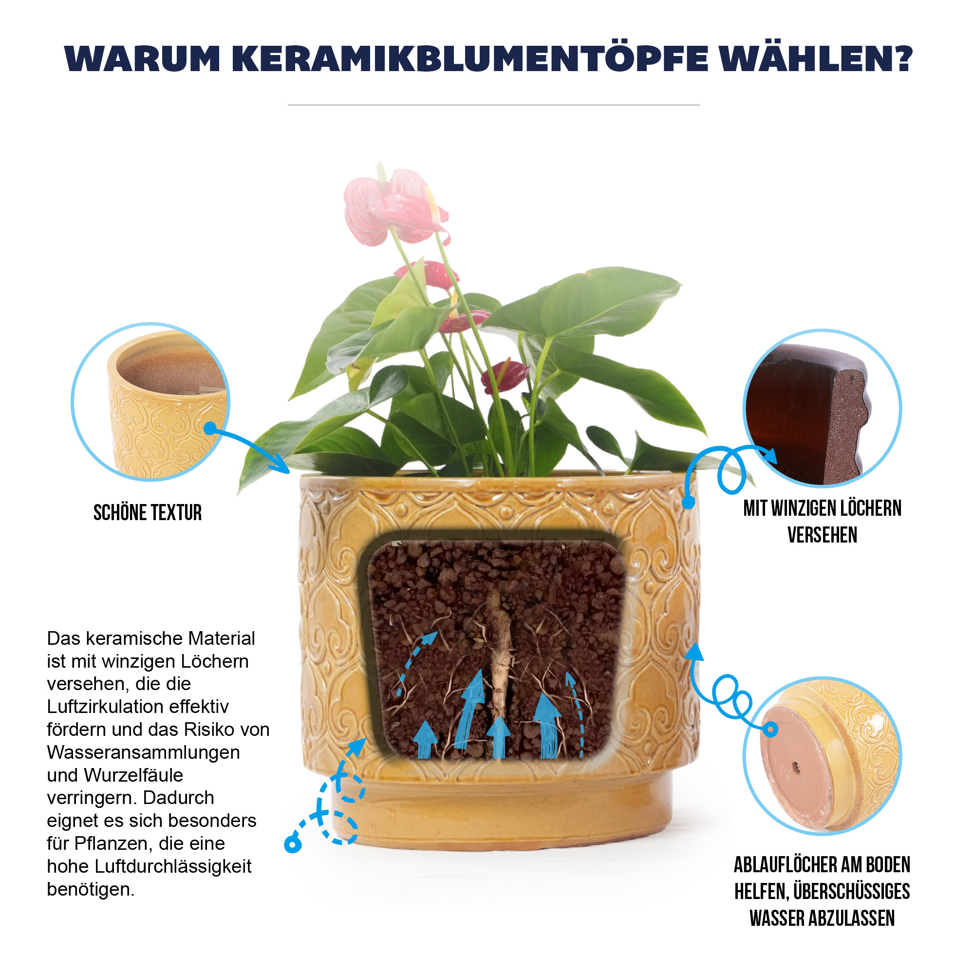 Détail du bac à plantes