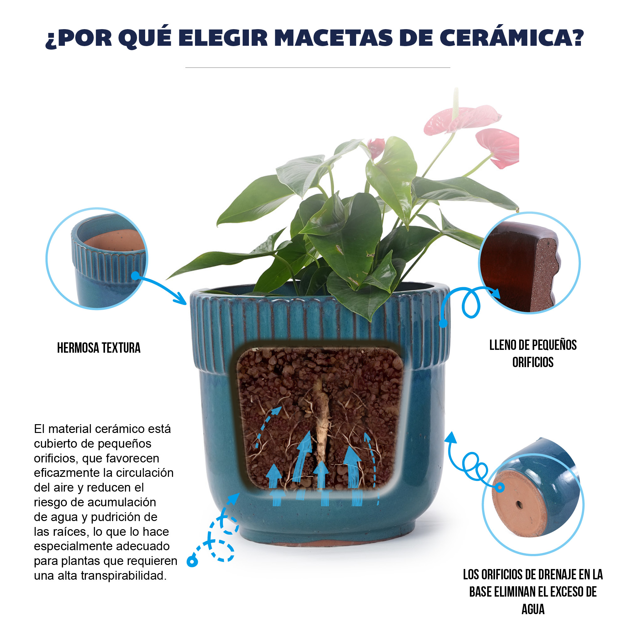 Détail du bac à plantes