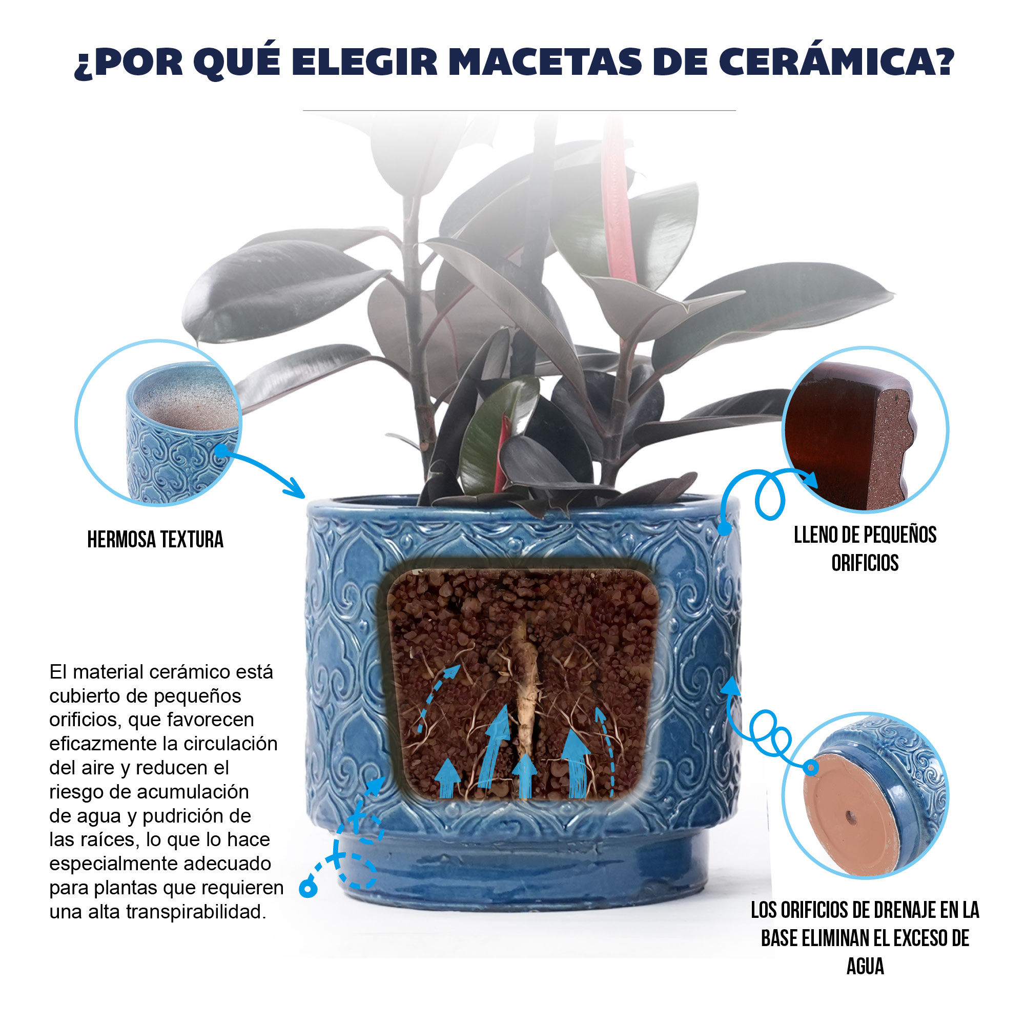 Présentation du bac à plantes