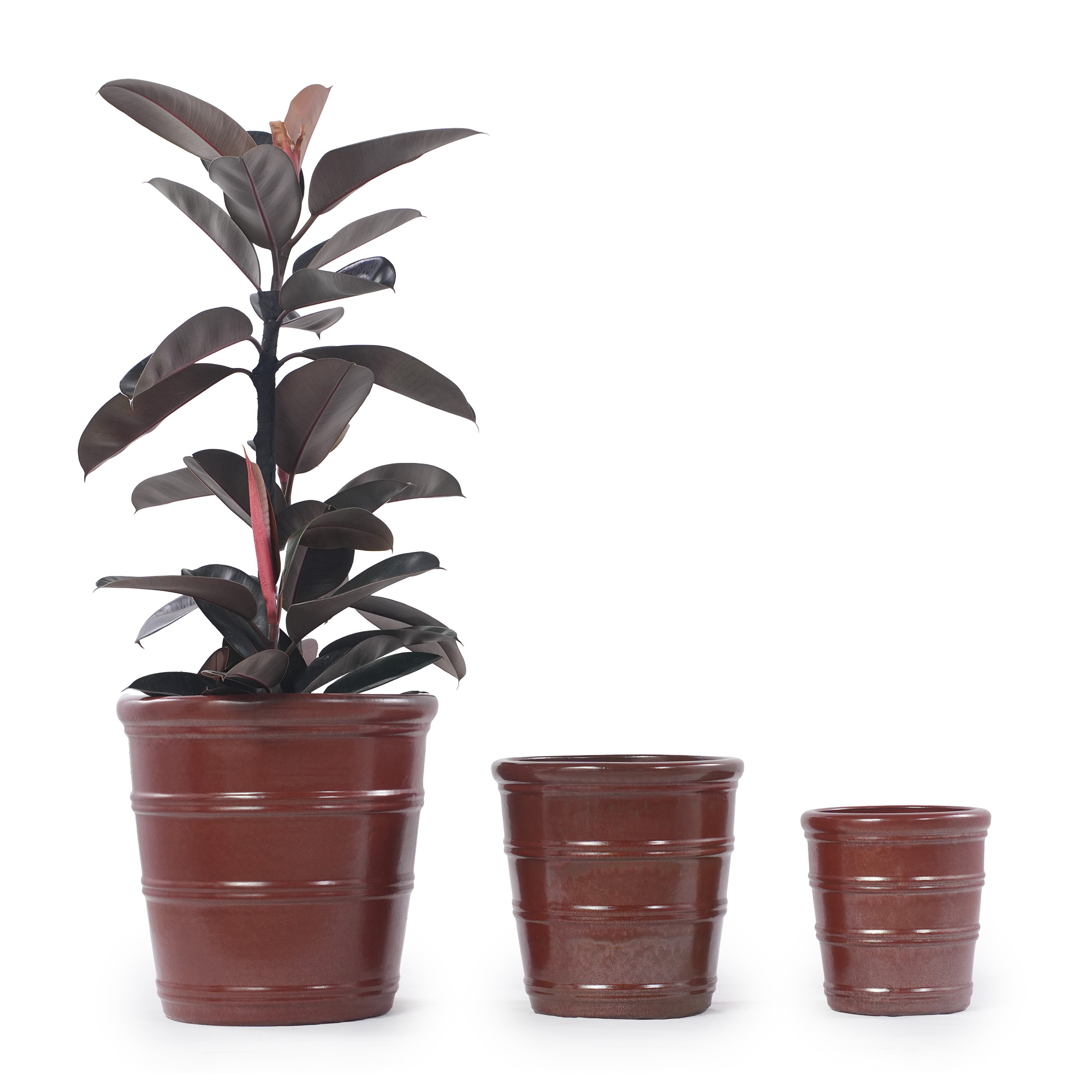 Format compact Ø24 cm, petites plantes‑succulentes‑aromates, étagère‑bureau‑rebord‑fenêtre‑balcon