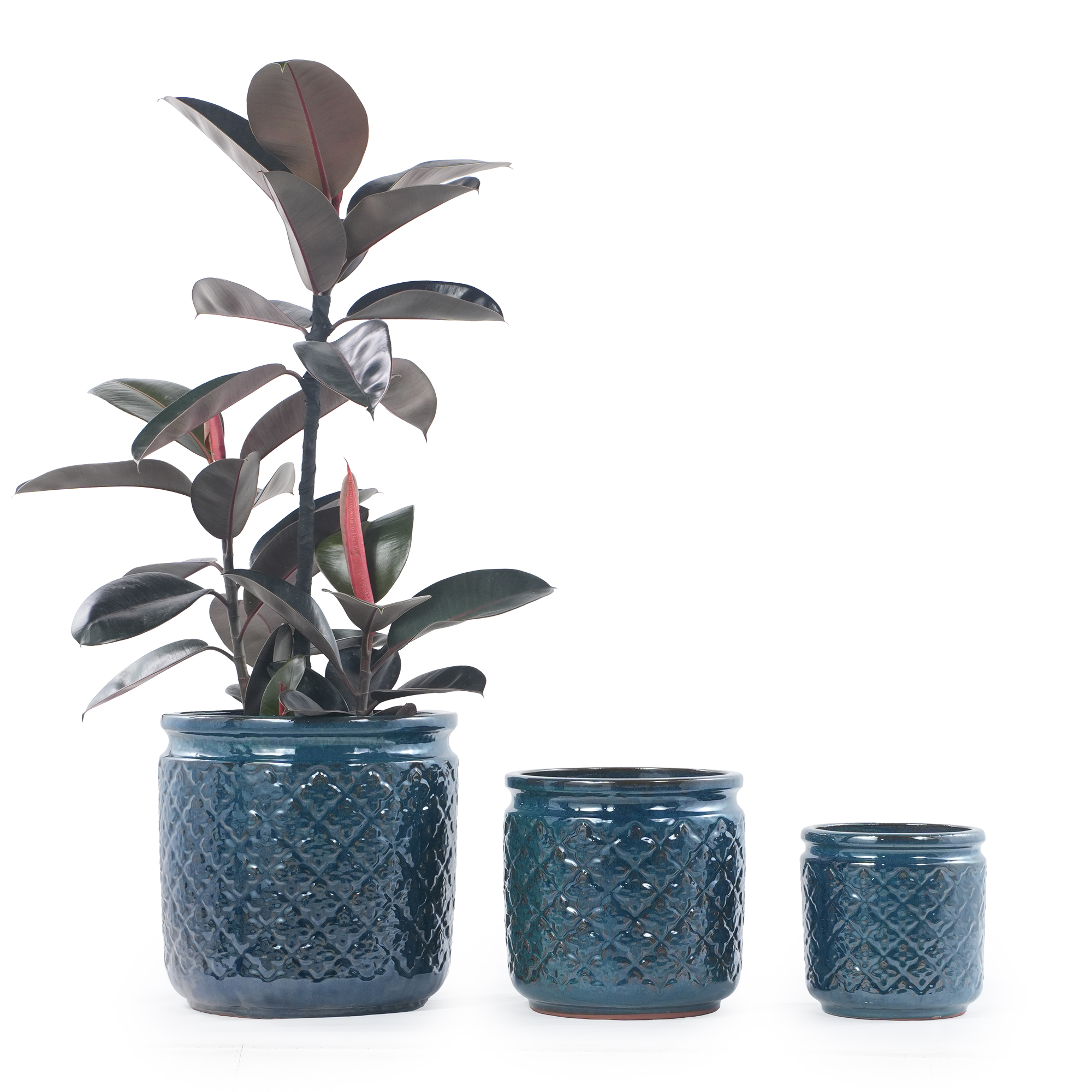 Détail du bac à plantes