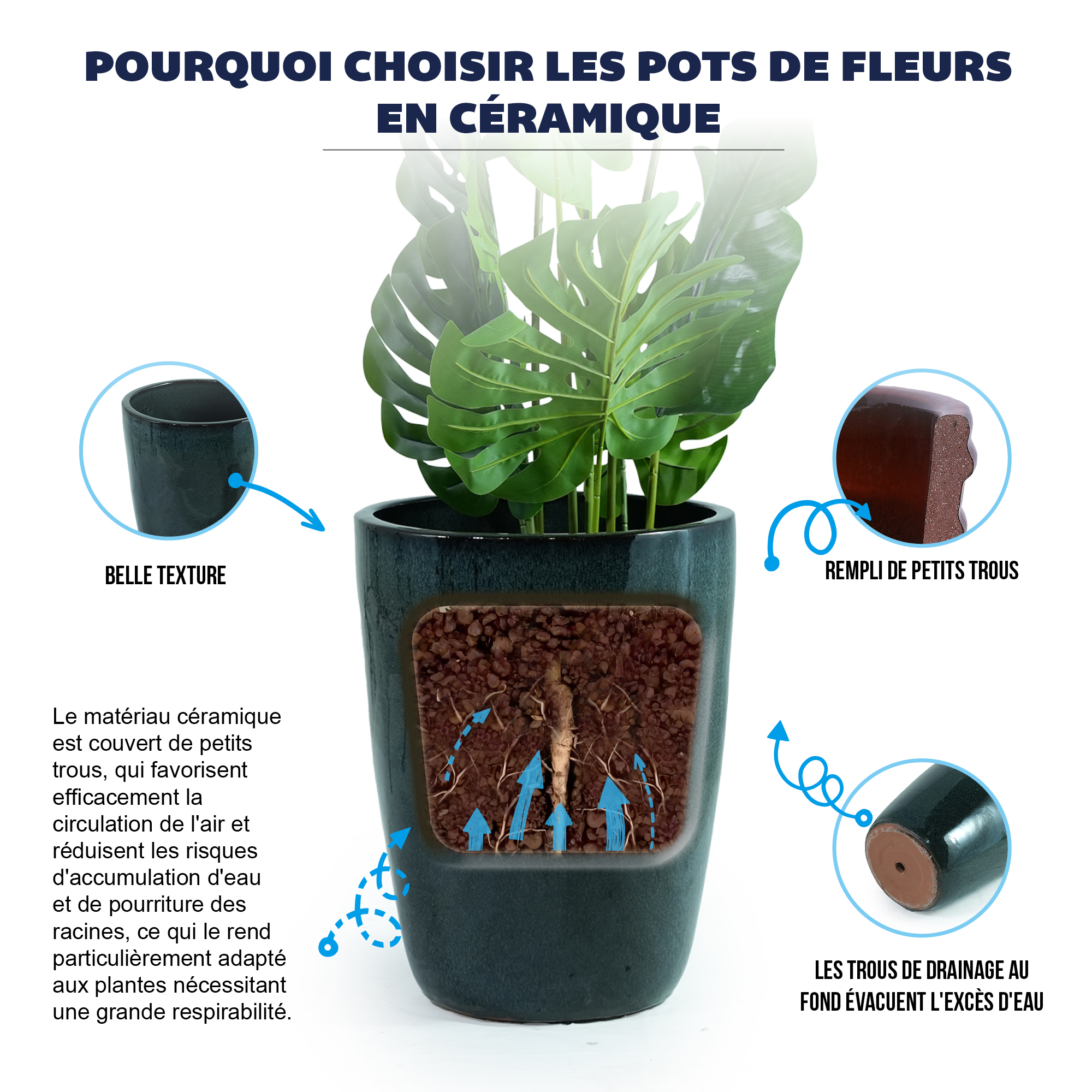 Présentation du bac à plantes