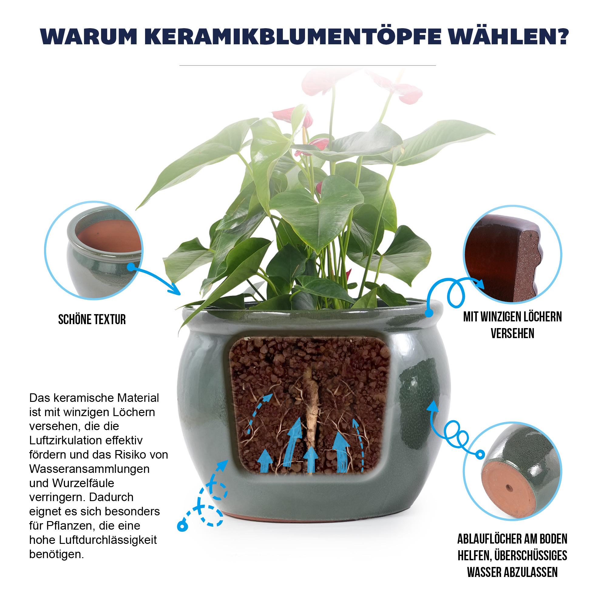 Présentation du bac à plantes