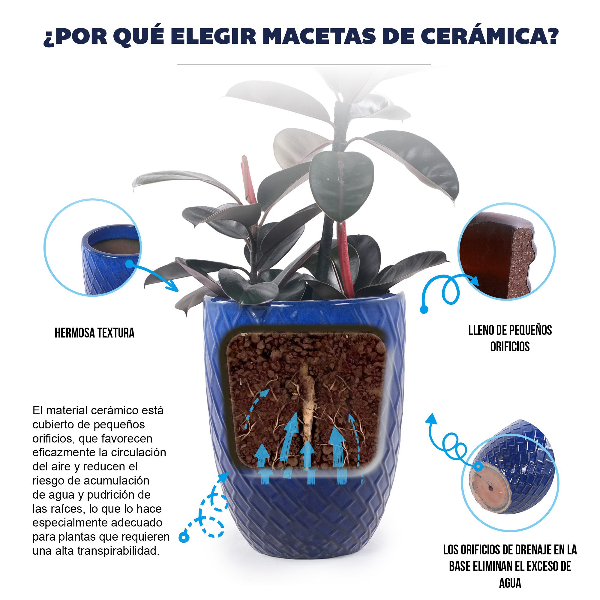 Présentation du bac à plantes