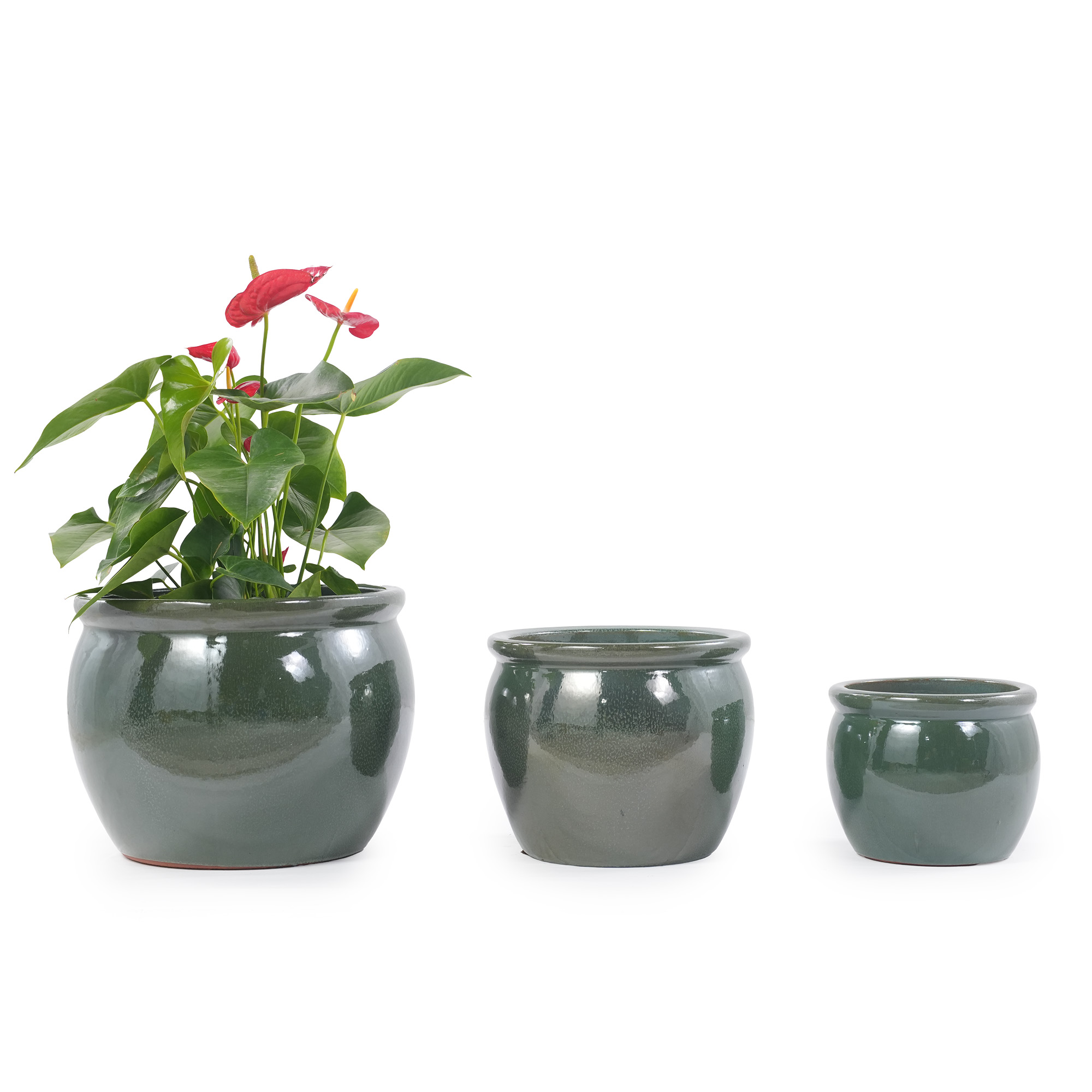 Détail du bac à plantes