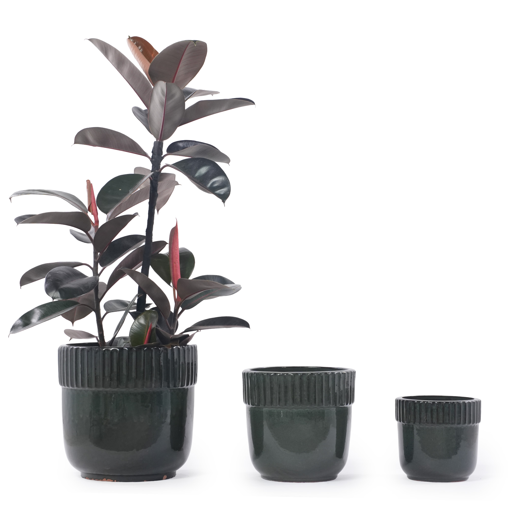 Détail du bac à plantes