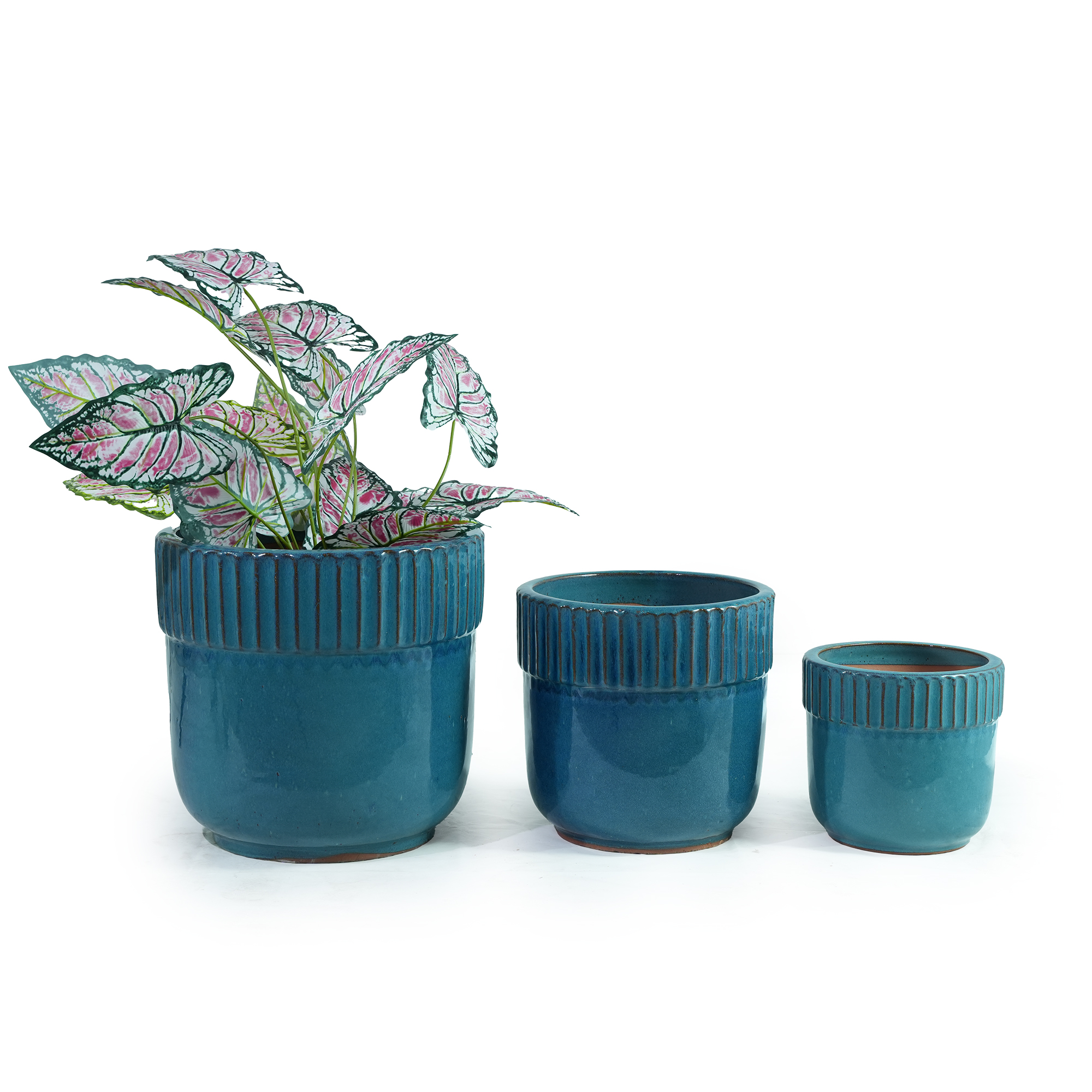 Détail du bac à plantes