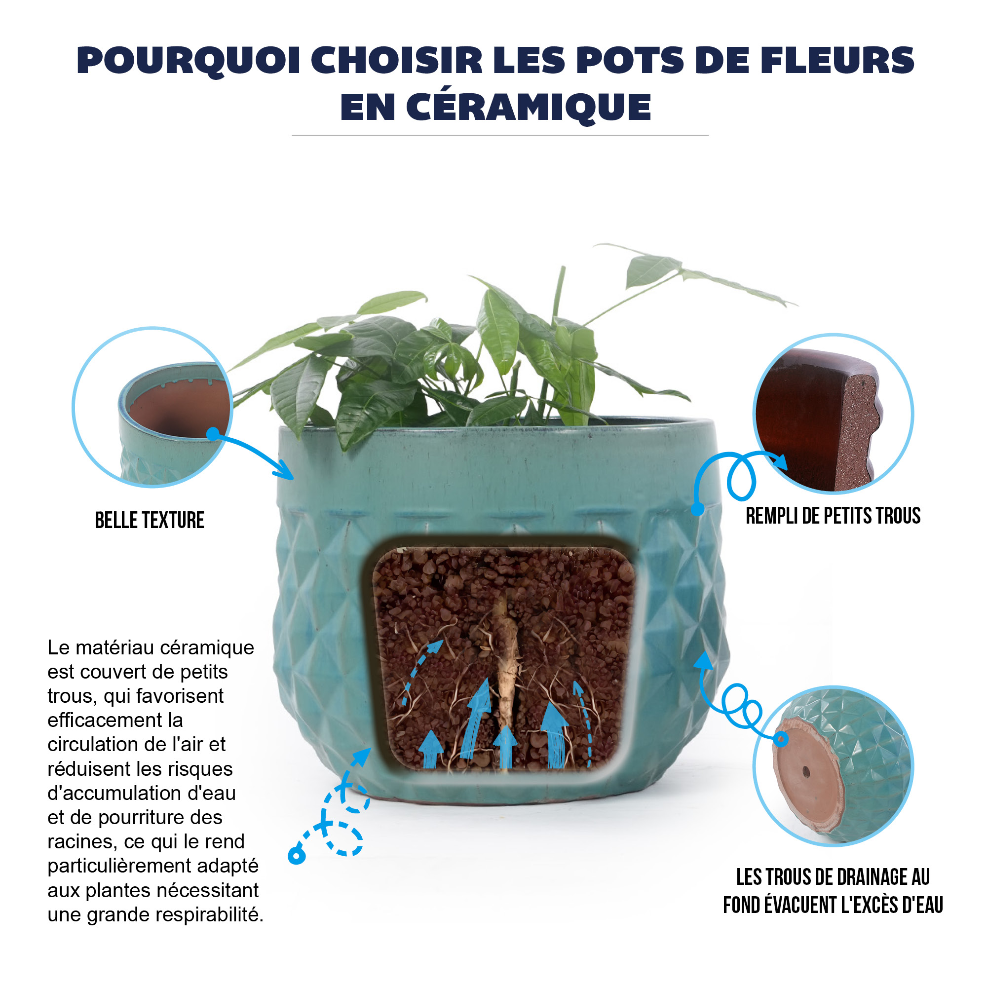 Présentation du bac à plantes