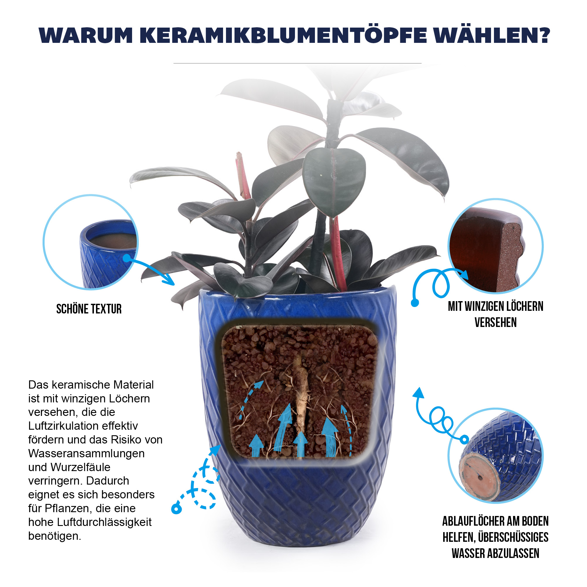 Présentation du bac à plantes