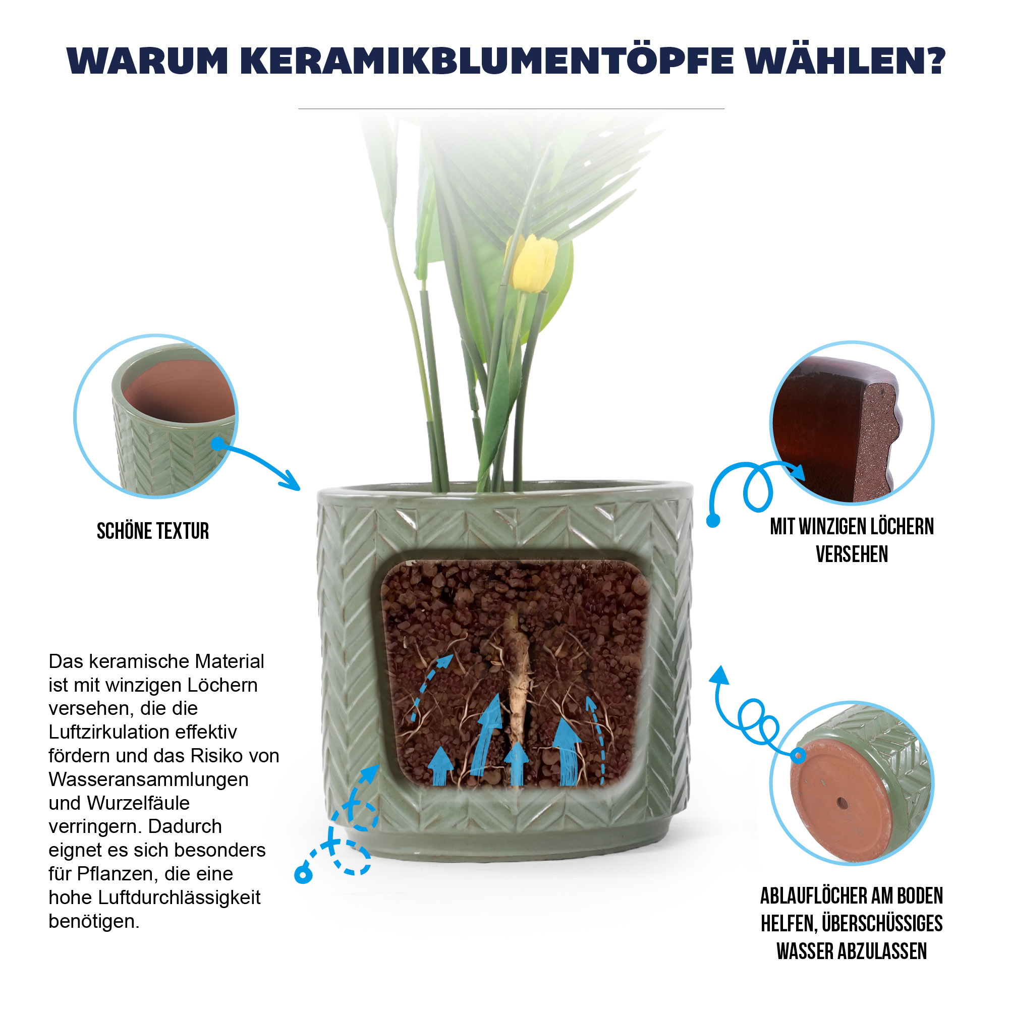Présentation du bac à plantes