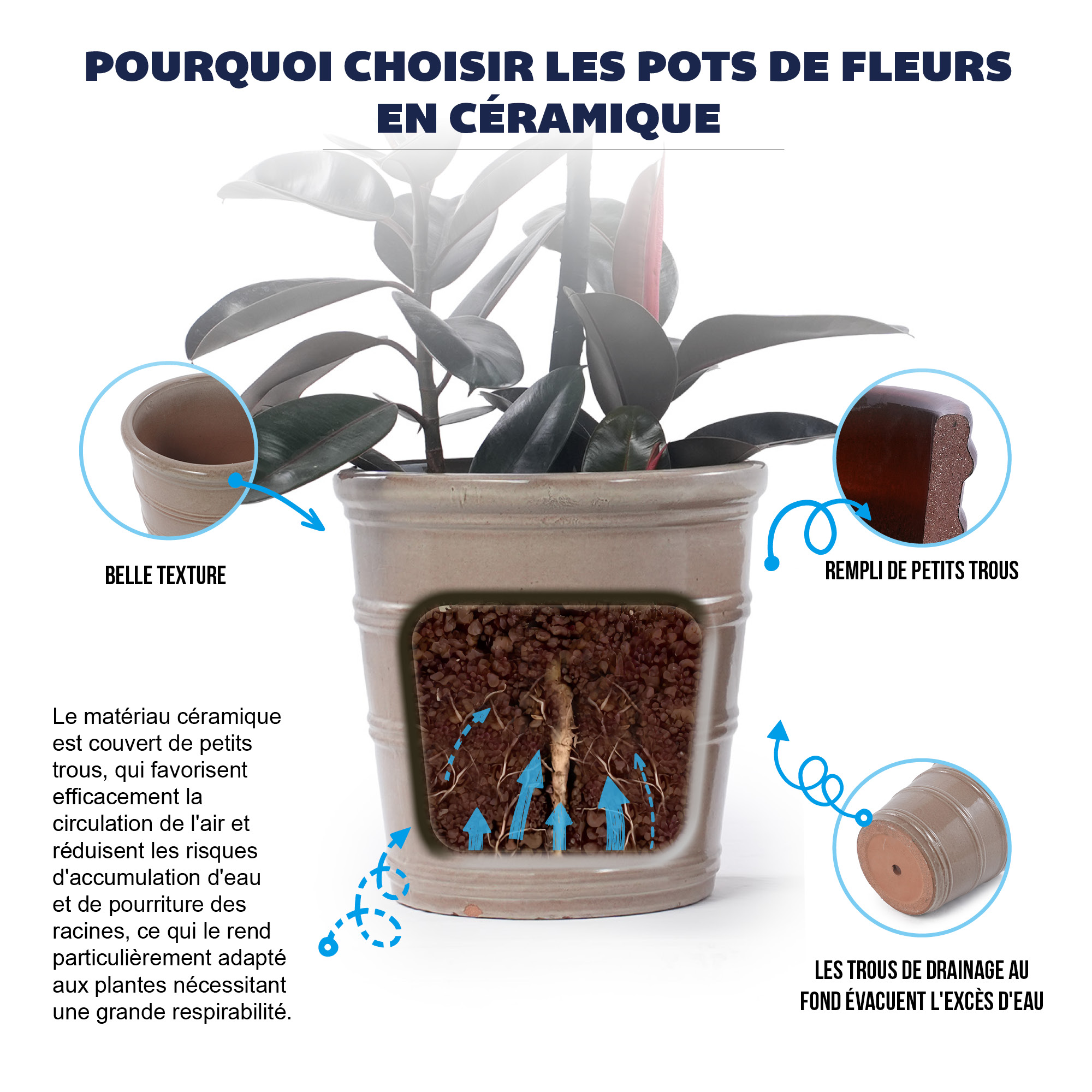 Présentation du bac à plantes
