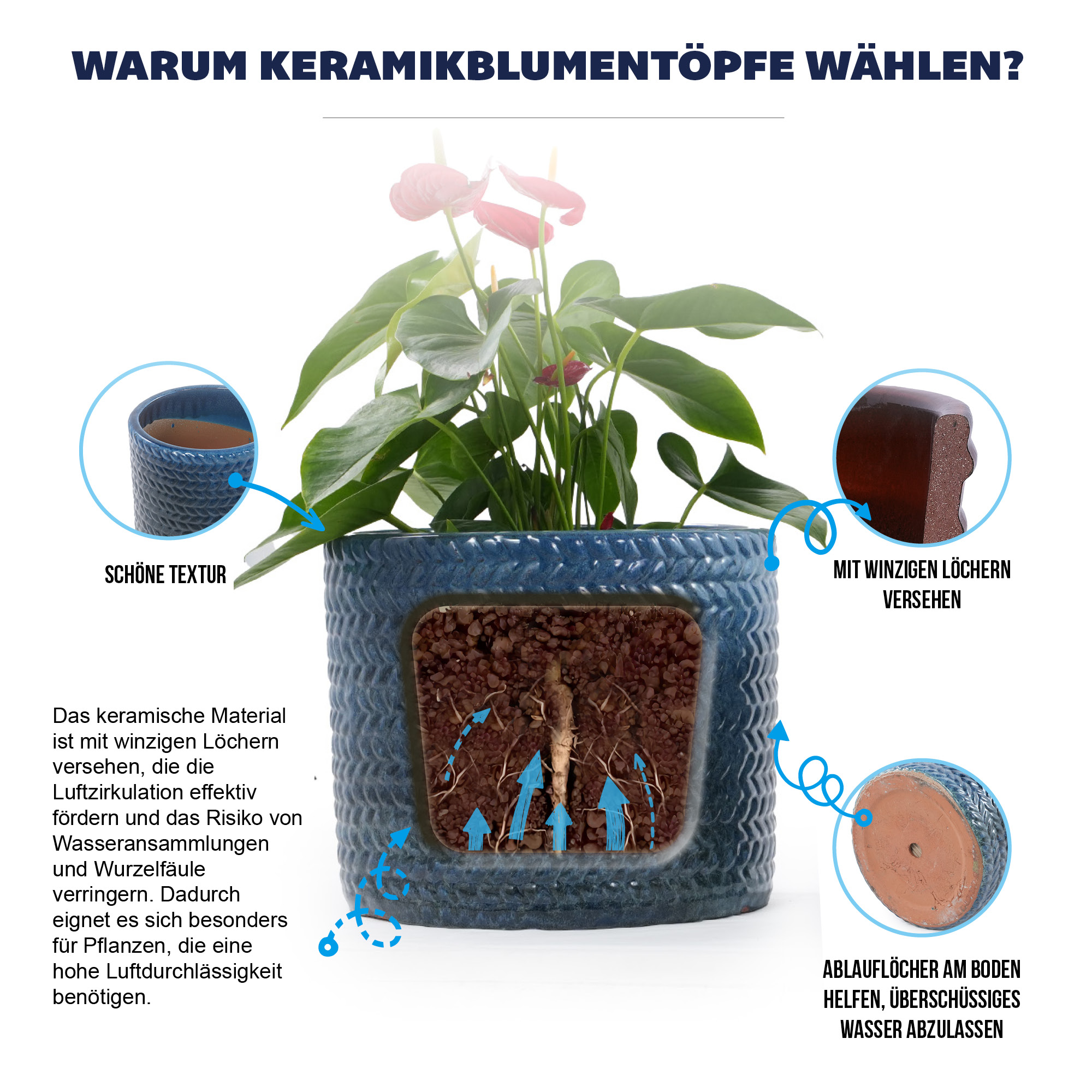 Présentation du bac à plantes