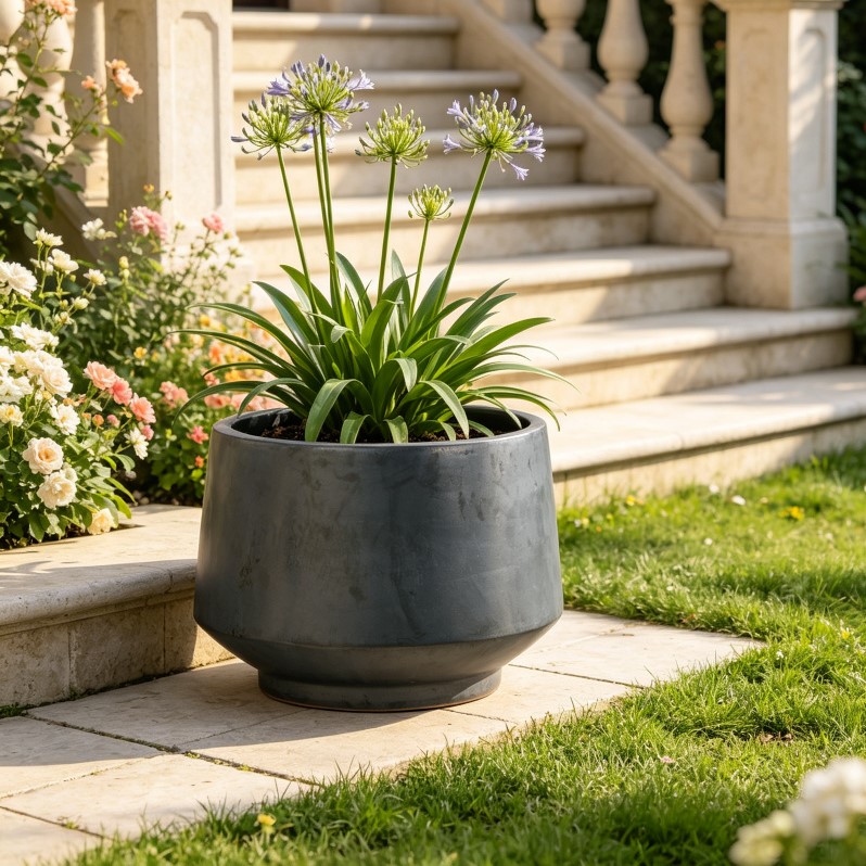 Vue principale du bac à plantes