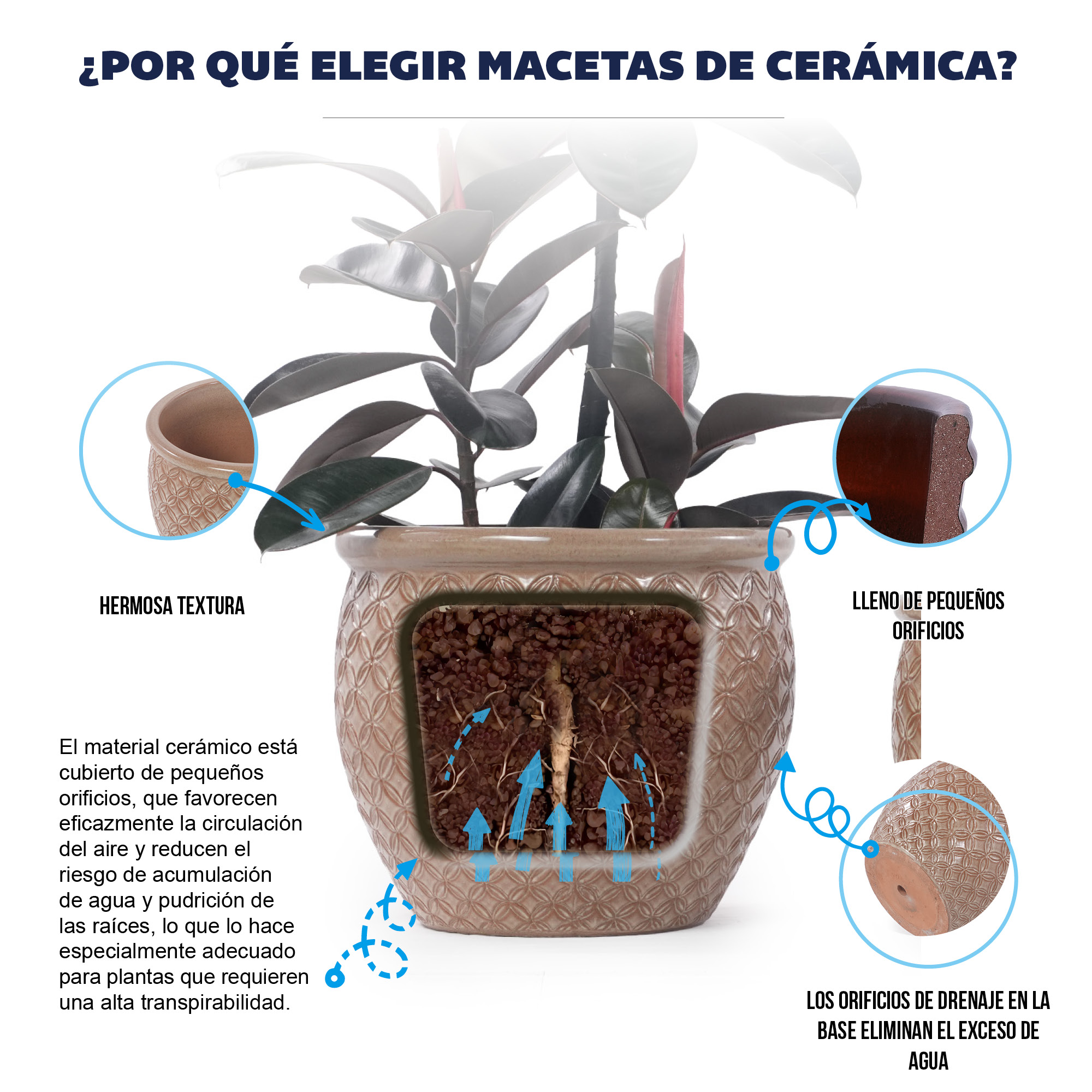 Présentation du bac à plantes