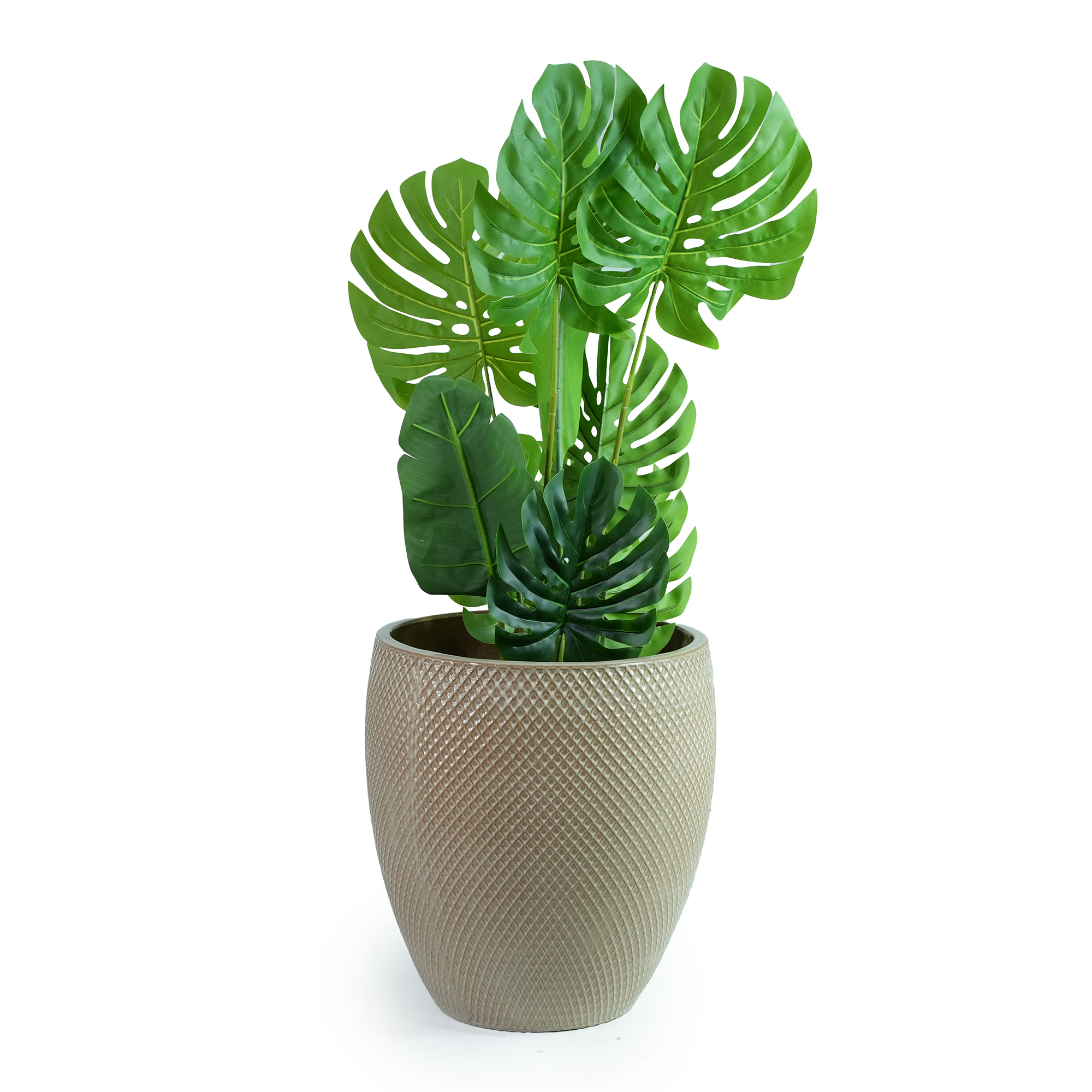 Présentation du bac à plantes