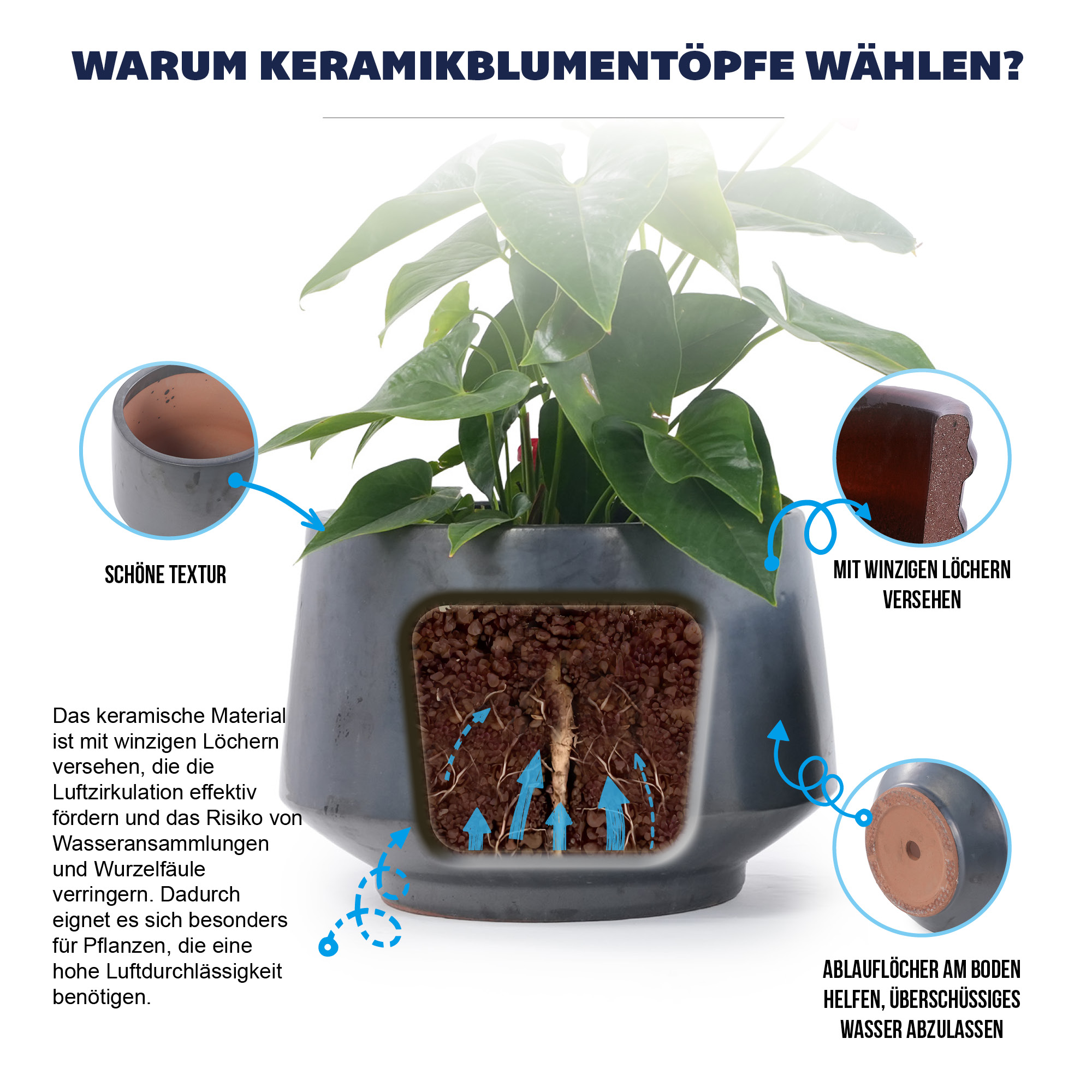 Présentation du bac à plantes