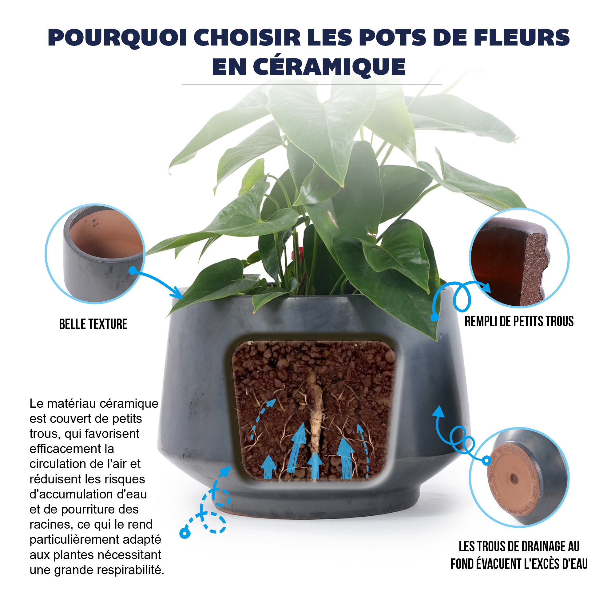 Présentation du bac à plantes