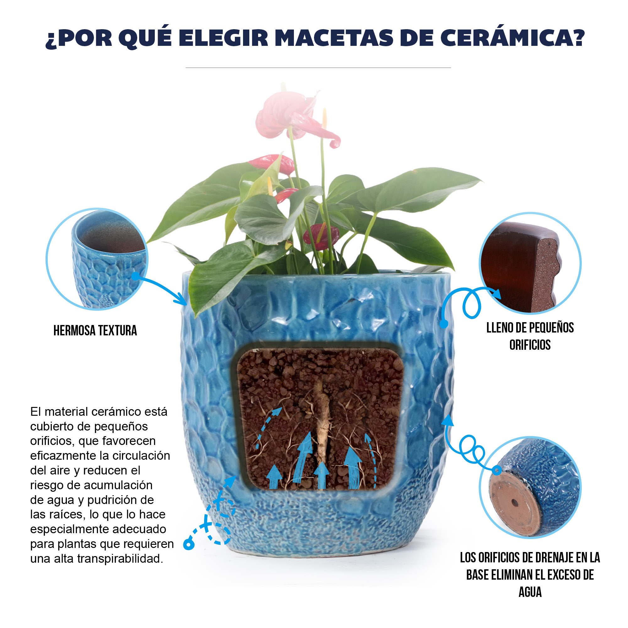 Présentation du bac à plantes