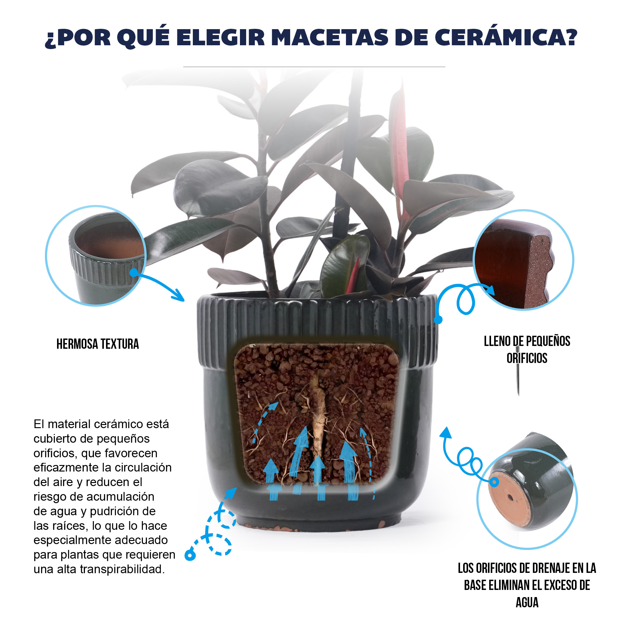 Argile poreuse, ventilation racinaire, prévient sur‑arrosage et pourriture racinaire